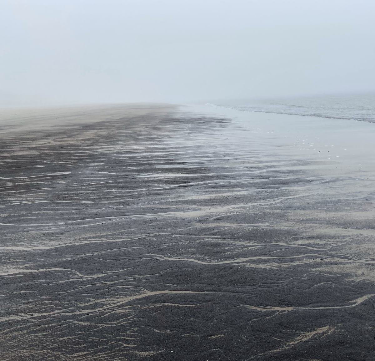A foggy day at Popham Beach, Phippsburg , ME