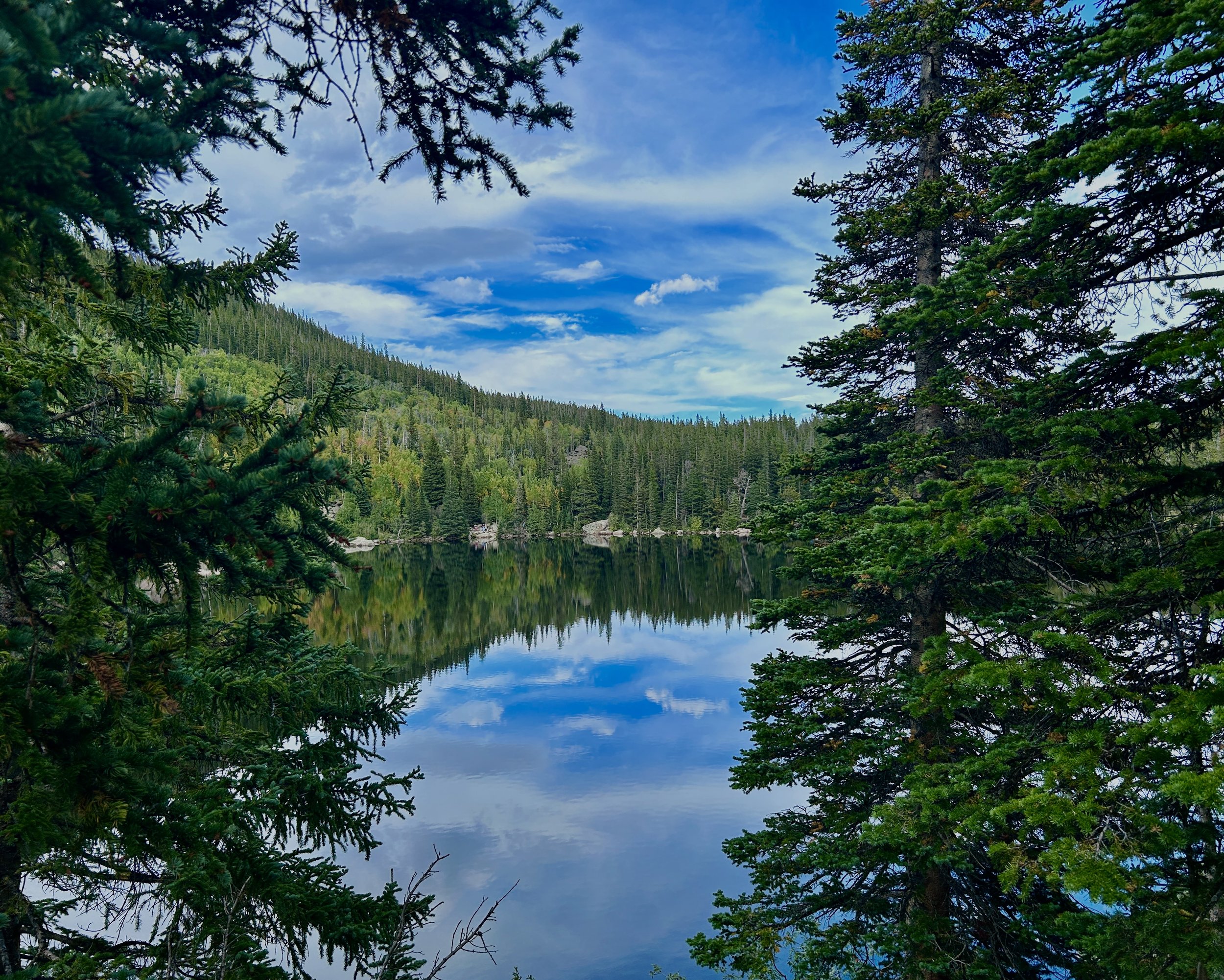 Peacefulness of reflections