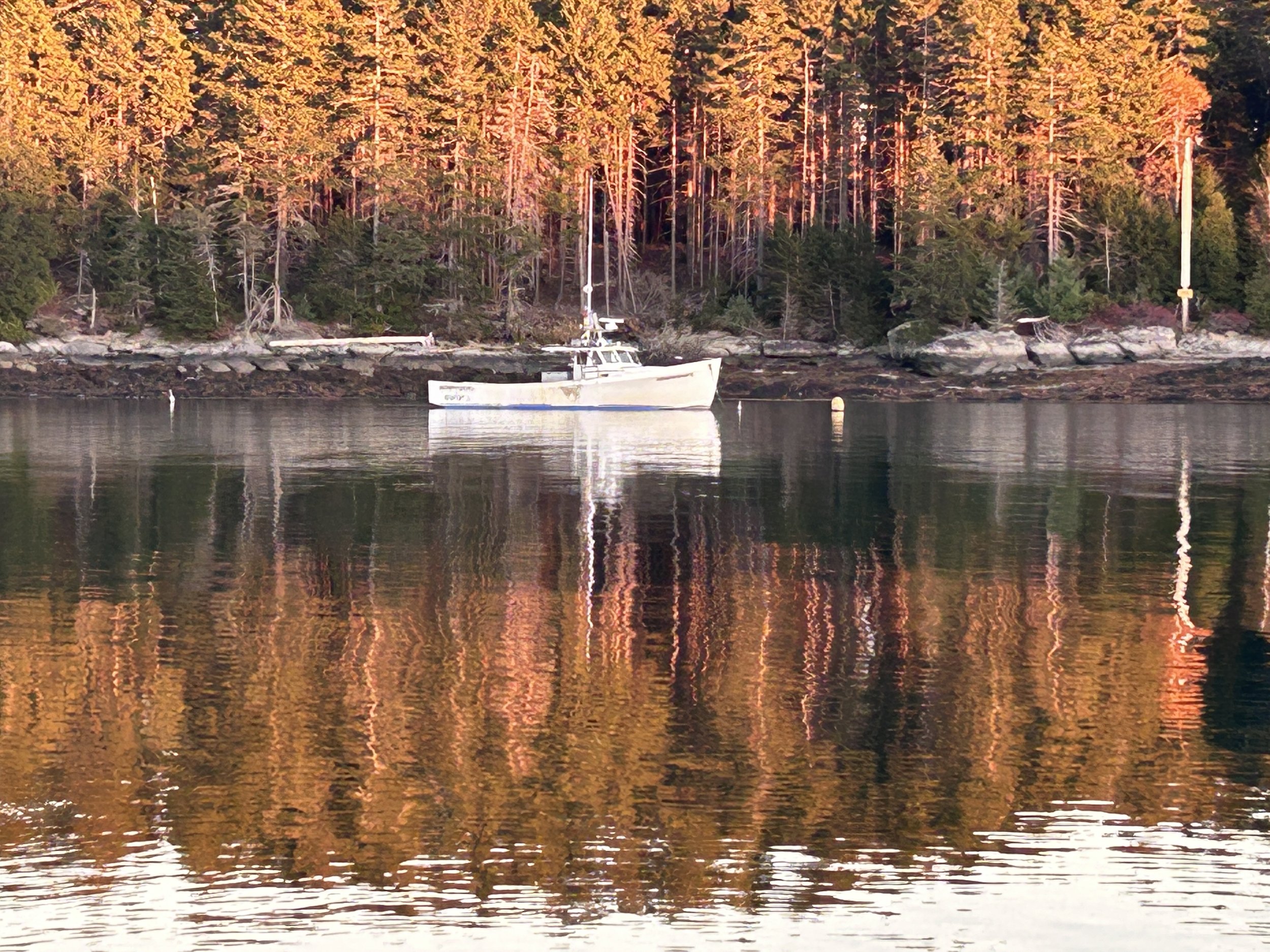 Fall is in the air
