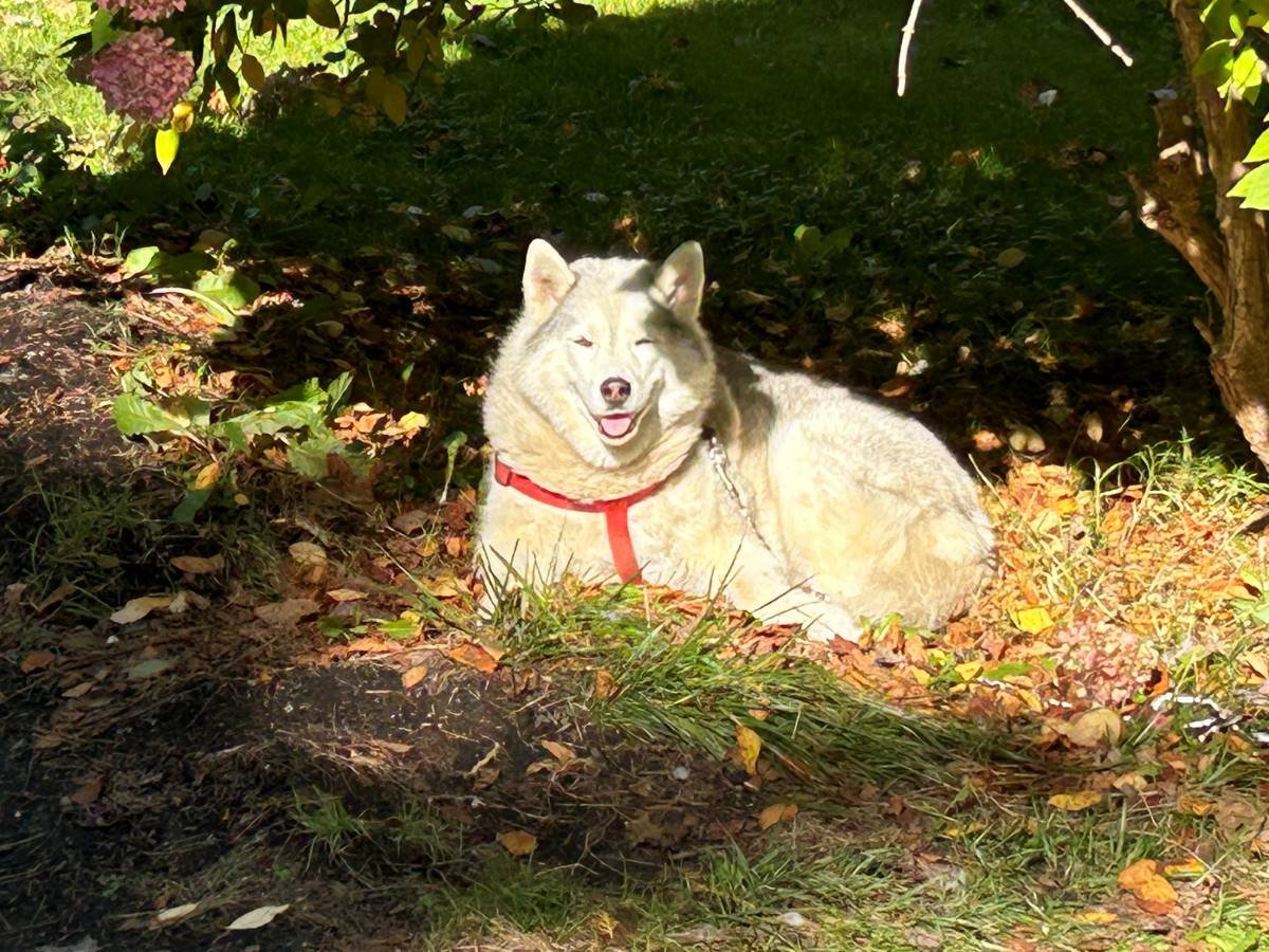 It's a sunny day