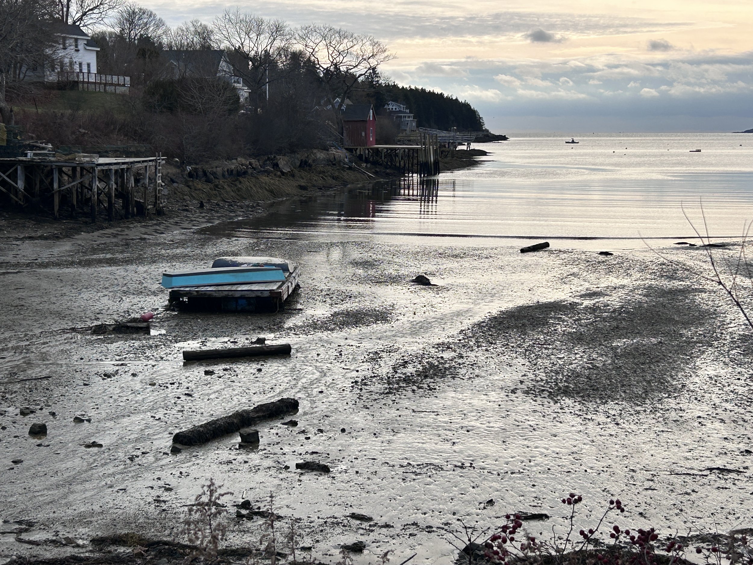Low tide