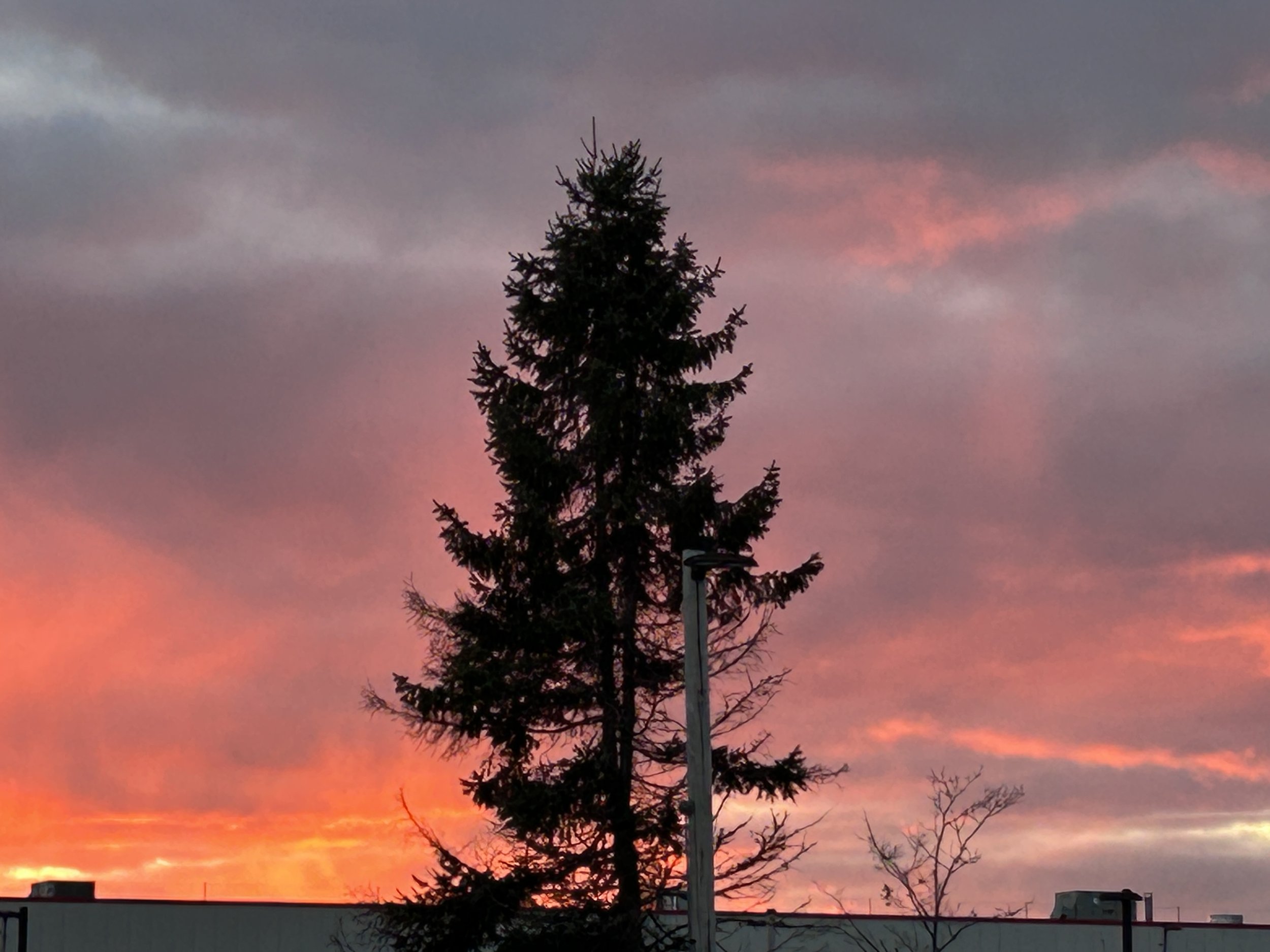Colors of sunset
