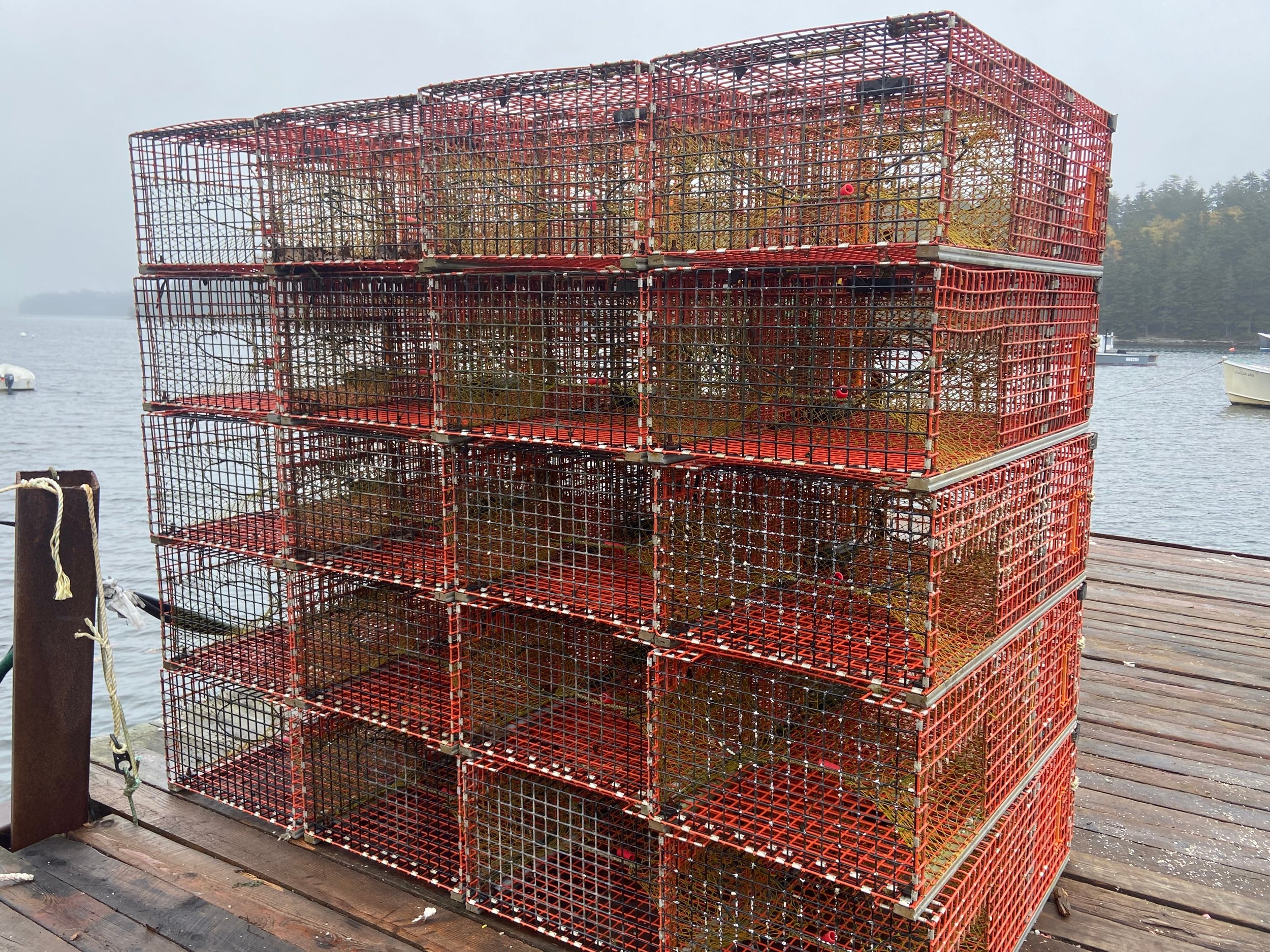 Getting ready to catch lobster
