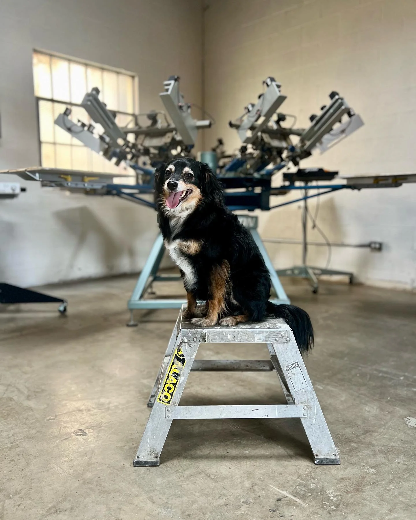 Employee of the Month π