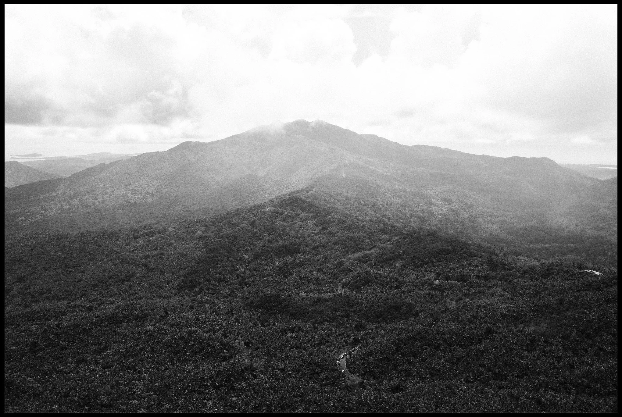  Bosque Nacional El Yunque, Puerto Rico March 2025 