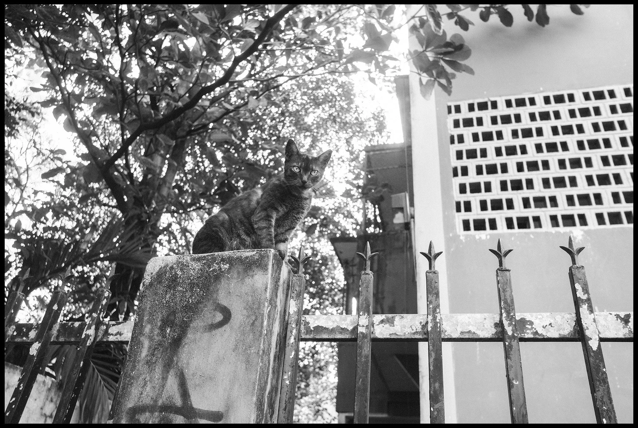  San Juan, Puerto Rico March 2025 