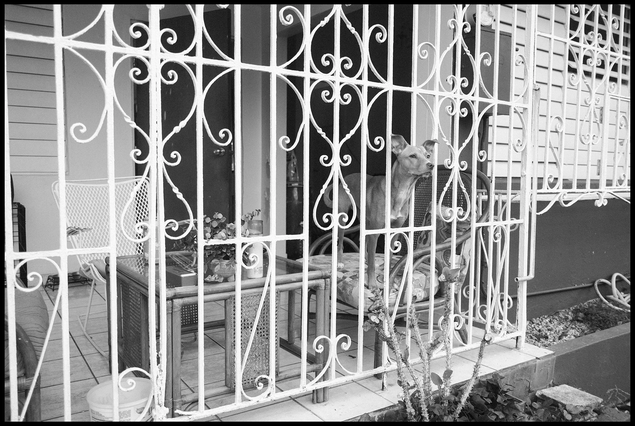  San Juan, Puerto Rico March 2025 