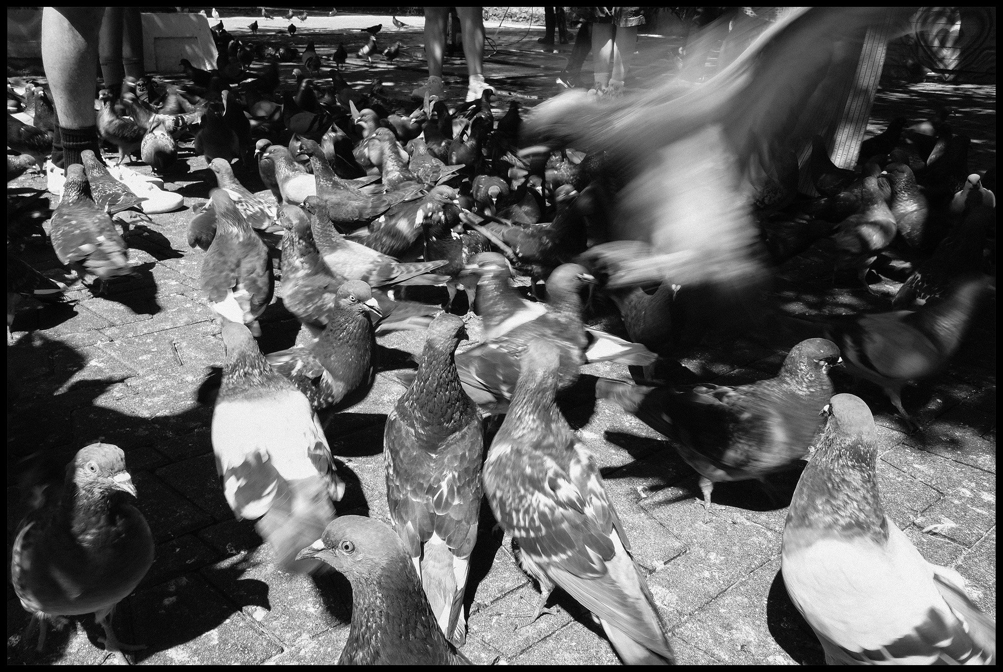  San Juan, Puerto Rico March 2025 