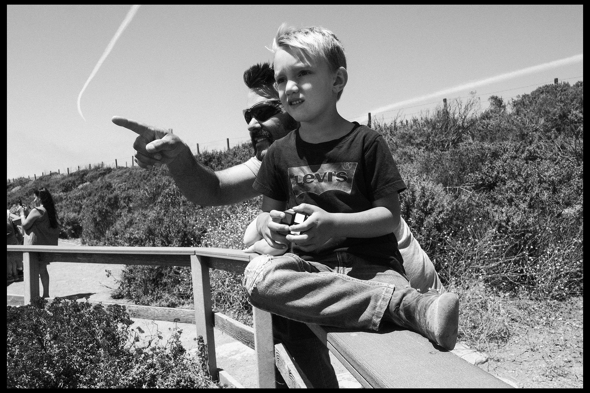 Watching elephant seals