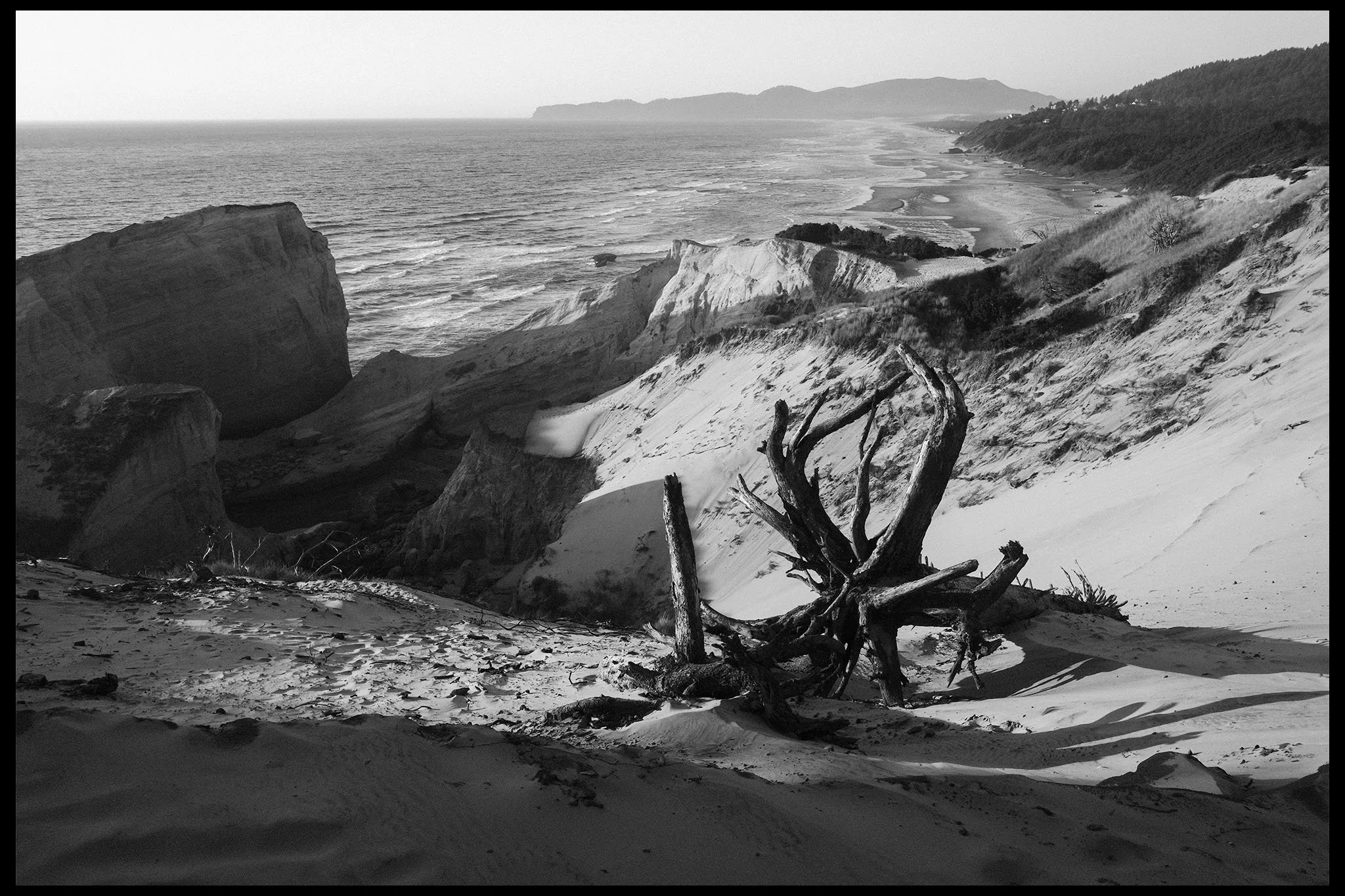  Pacific City, Oregon August 2025 