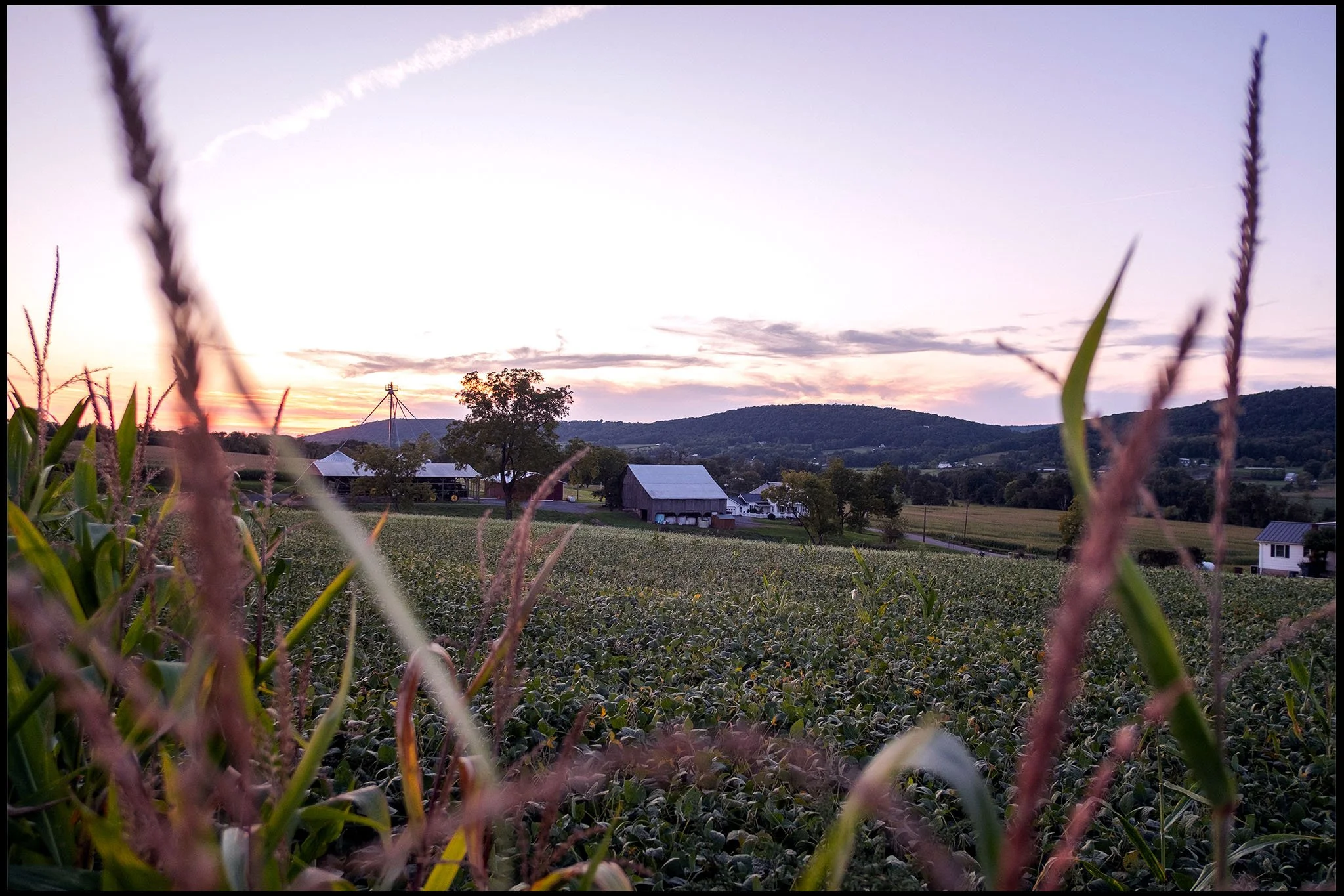  Berwick, Pa. September 2026 