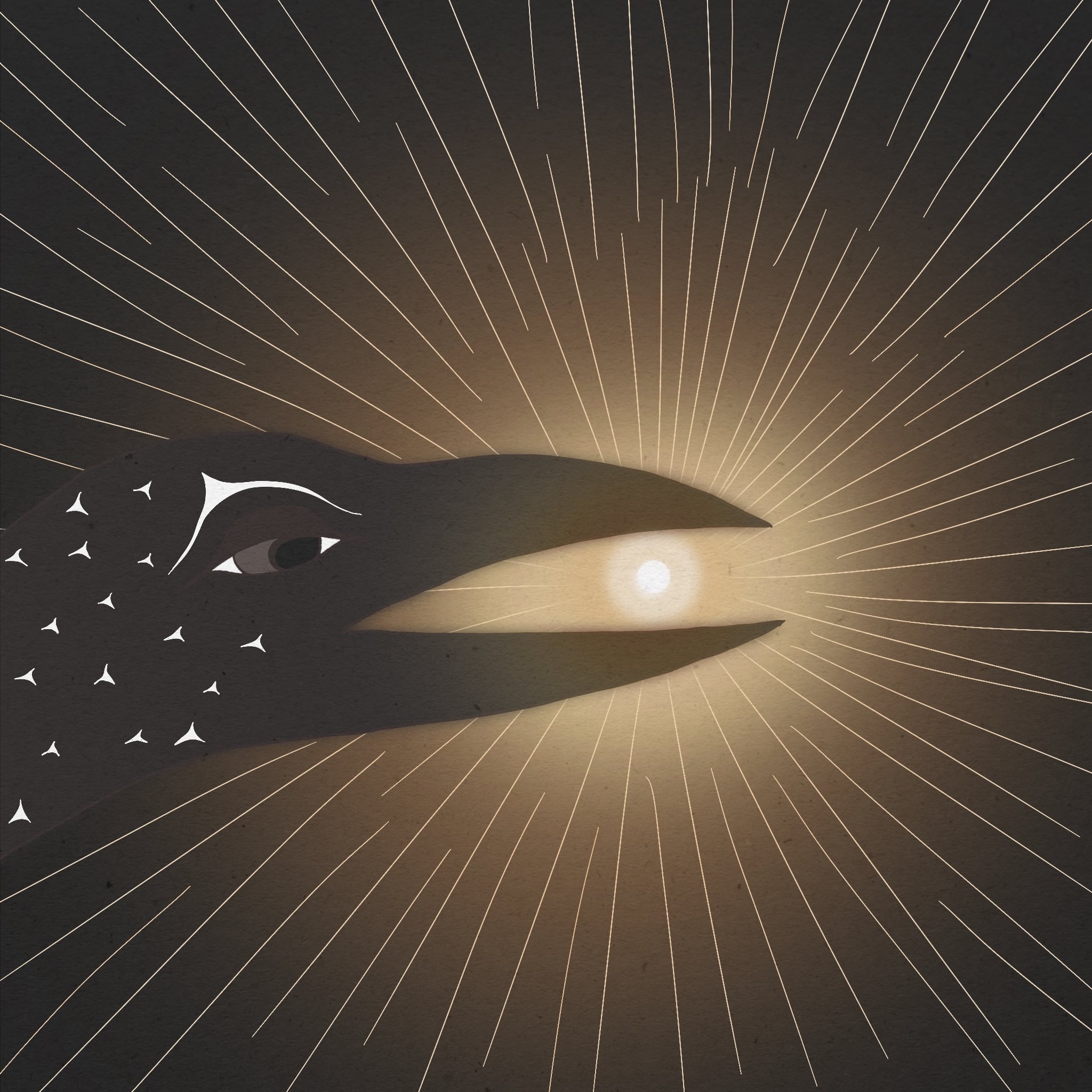 "Raven and The Light"