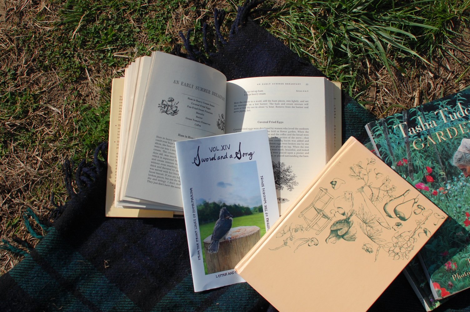 Open books, a postcard, and a magazine placed on a blanket on the grass, suggesting a relaxing outdoor reading session.