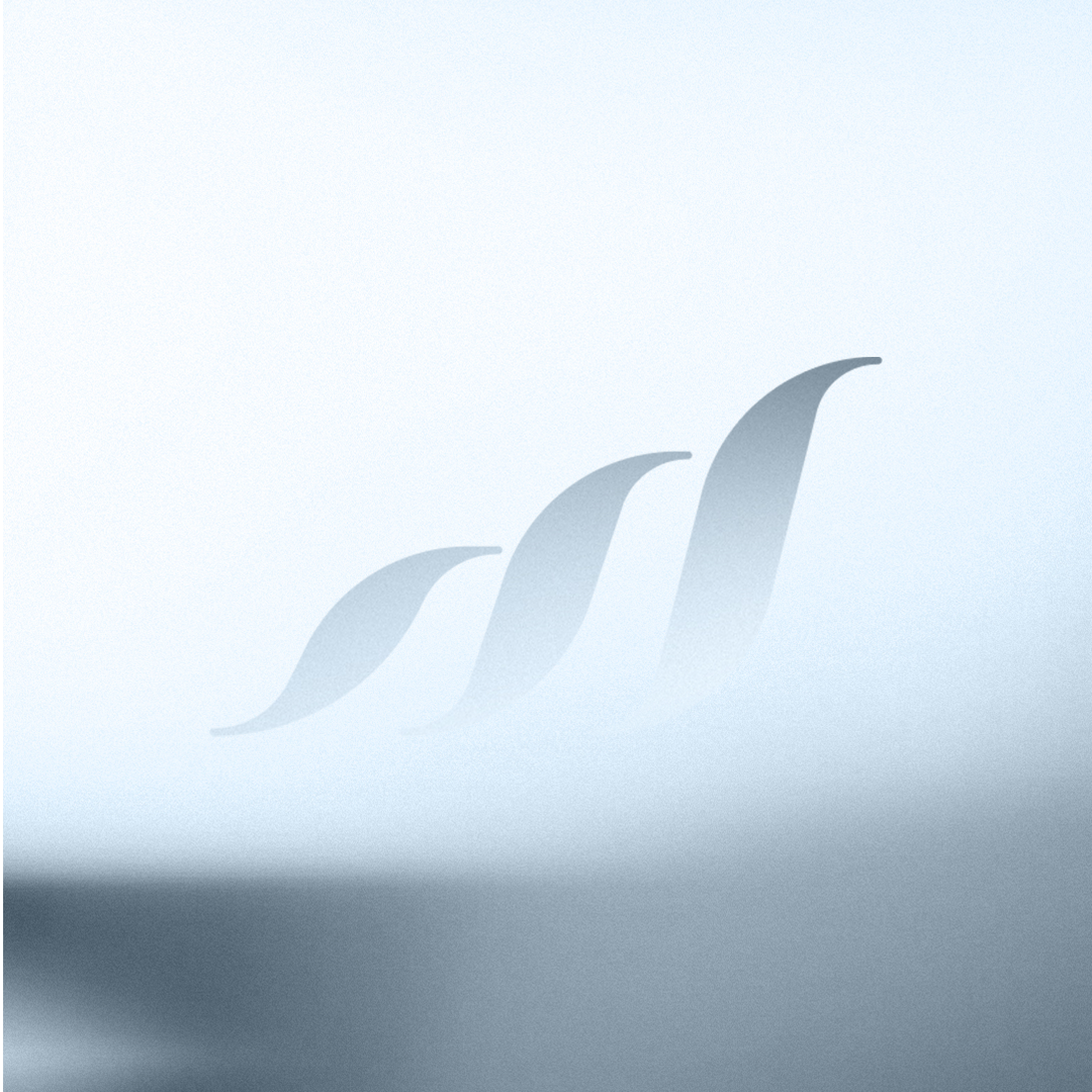 03 / Identity Perfomance