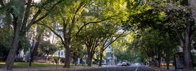Keeping Your Lungs Healthy During Periods of Extreme Heat 