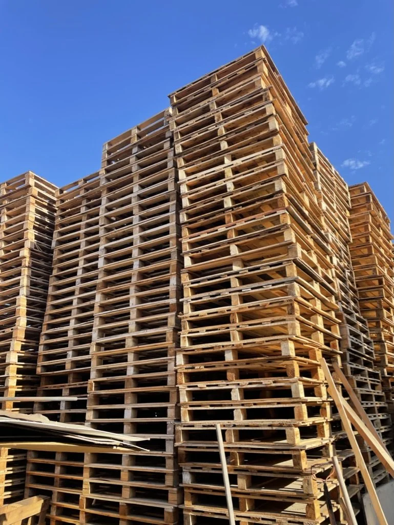 Salon customer with new long natural braids