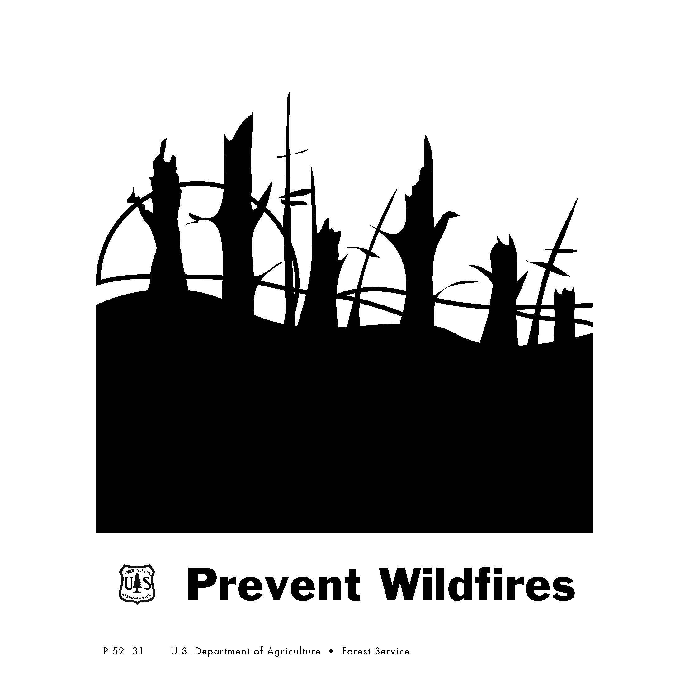 National Forest Collection_Page_19.jpg