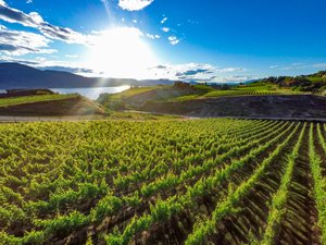 Le Poidevin's Painting photo 5