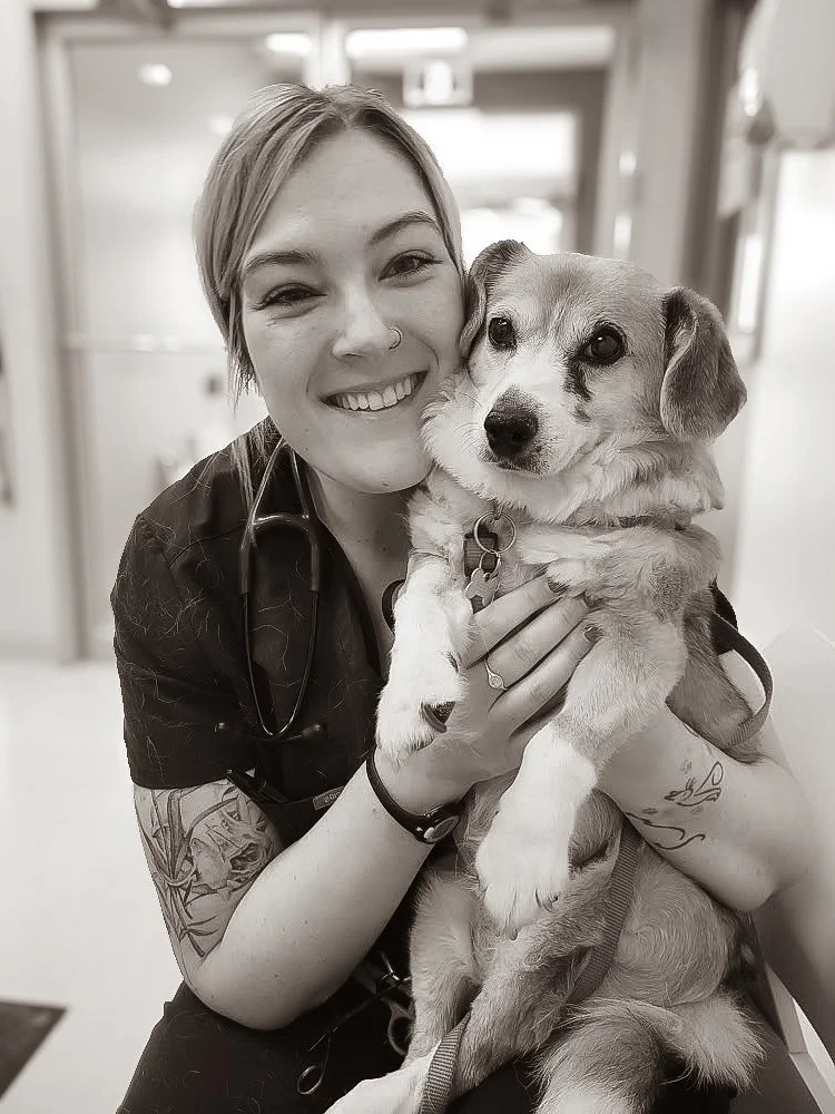 Veterinary healthcare worker holding a small dog from Saint Pierre and Miquelon in a veterinary clinic.