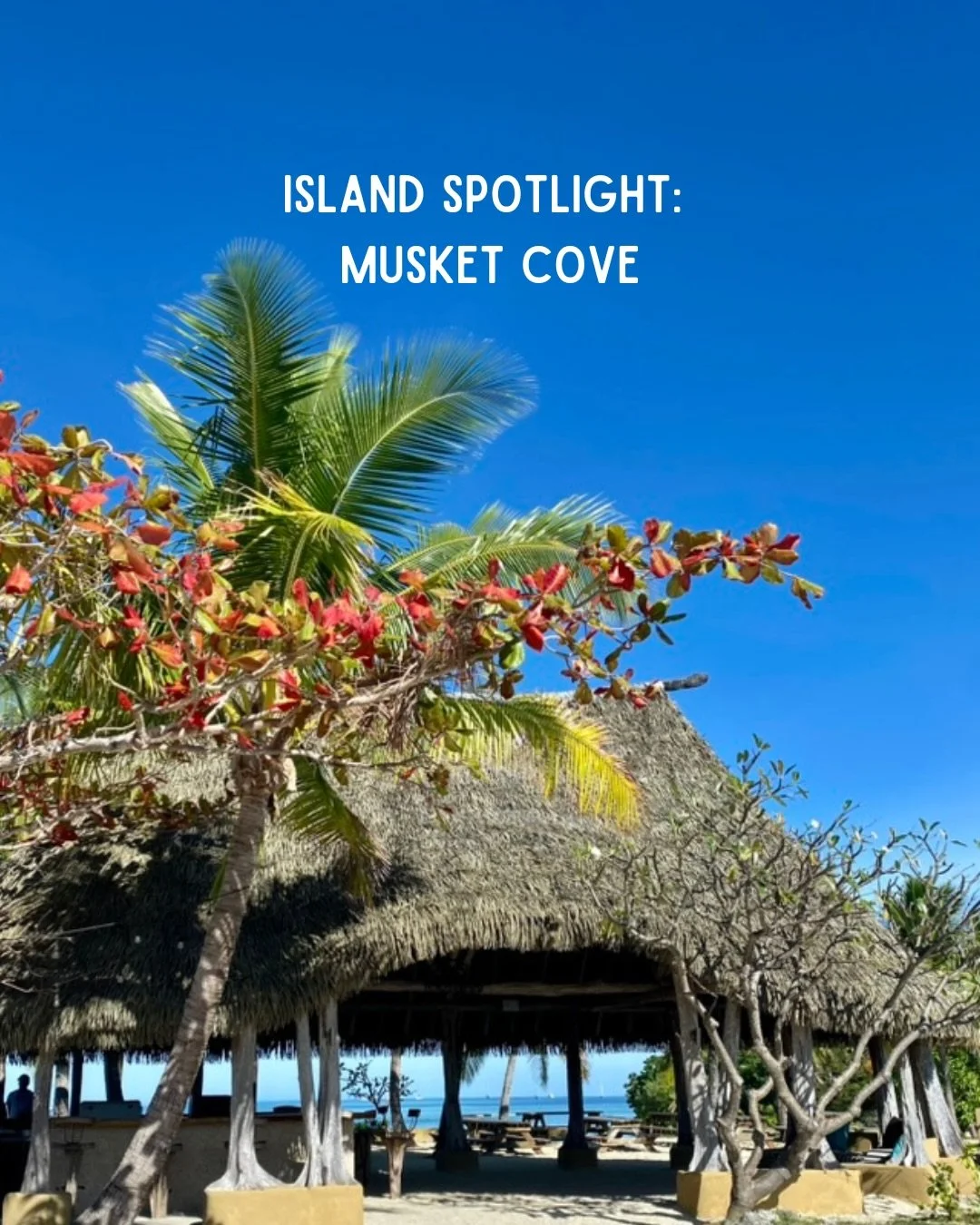 Musket Cove is one of our favourite Fijian Island destinations to visit. Swipe to see why&hellip; 🌴☀️🛥️

Visit https://www.fijiisland.cruises/view-all-cruises to join one of our Fijian Island Cruises today

#cruise #fiji #fijiislands #explorefiji #