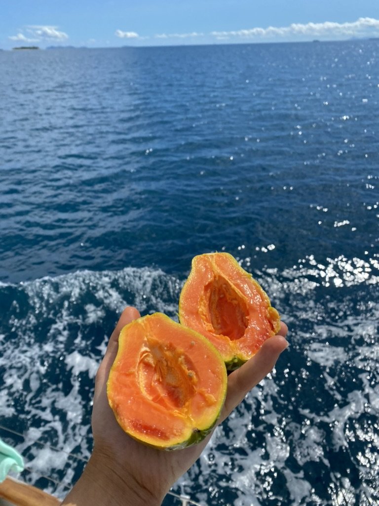 EFA62D0C-2FE4-4E31-ADCF-08F45062C45D_1_105_c.jpeg