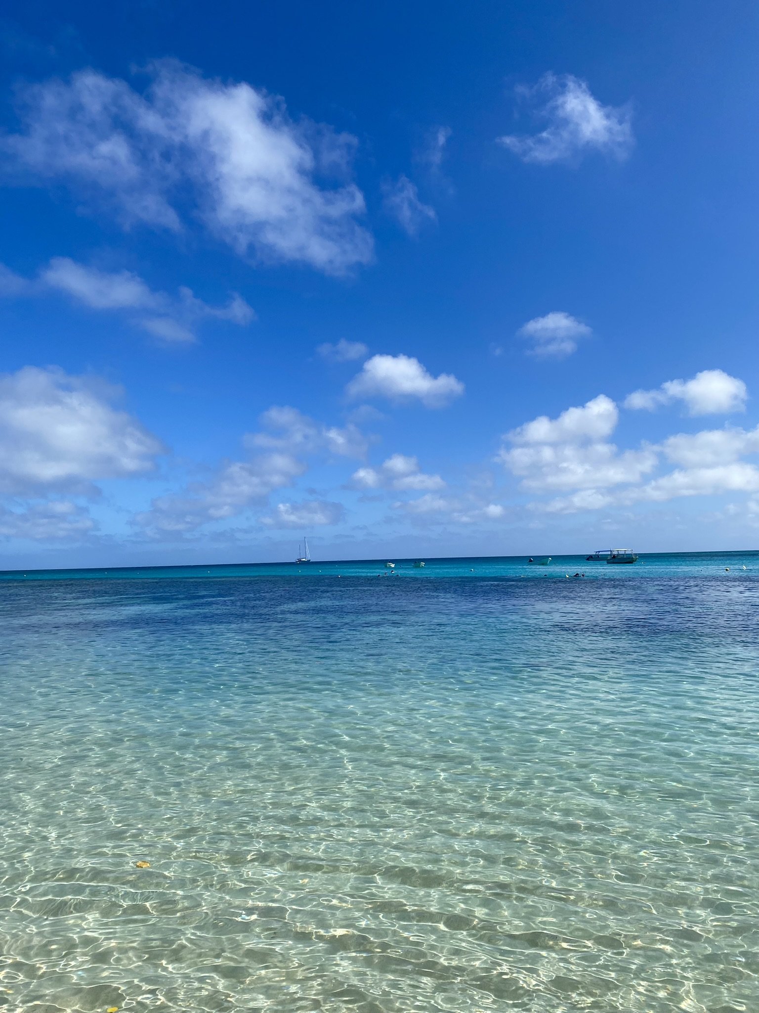 C9A6C881-E452-4154-B845-DE77C0F15A1A_1_102_a.jpeg