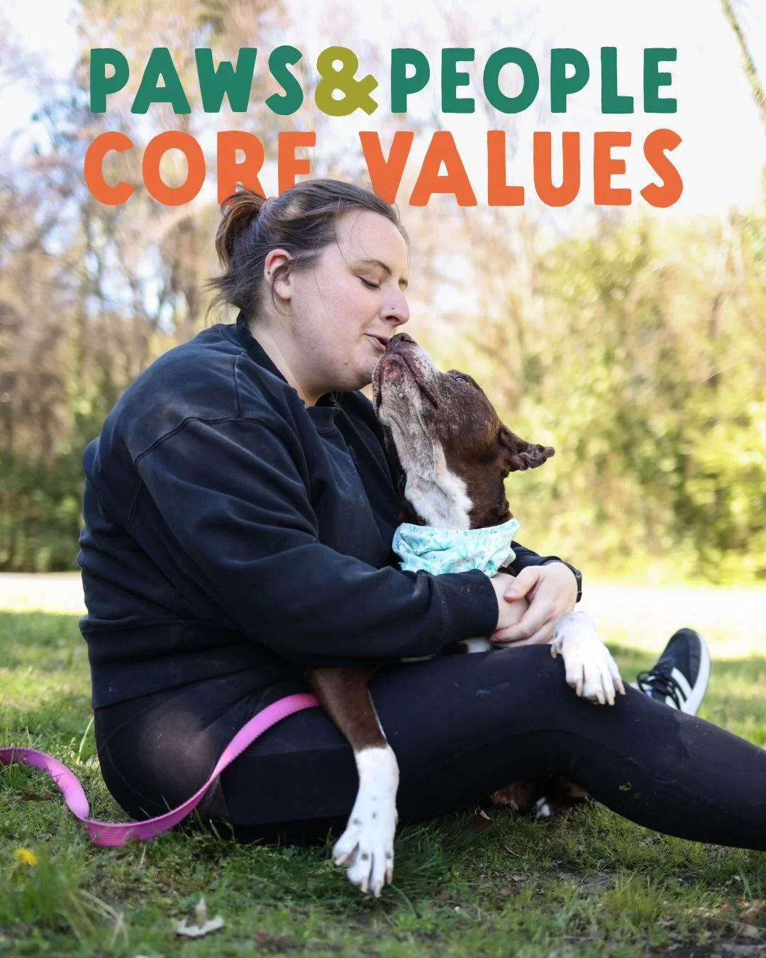 The Paws and People core values! 

These took me a long time to finalize. I wanted them to be the cornerstone of our work, and a reference point for our decision making, even when things get challenging. And I know at some point those challenges will