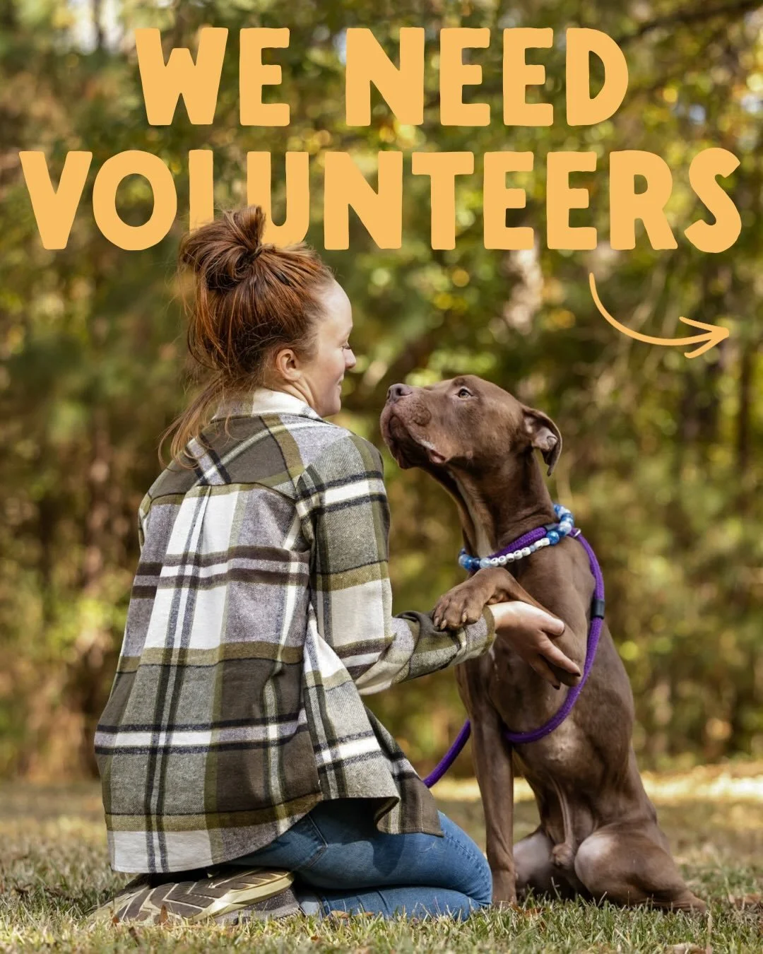 We need your help! 

Not sure if you&rsquo;re ready to foster? That&rsquo;s okay! We have a ton of other ways to get involved. We&rsquo;re looking for some folks to help build our capacity, and we&rsquo;re hoping that&rsquo;s you! If volunteering isn