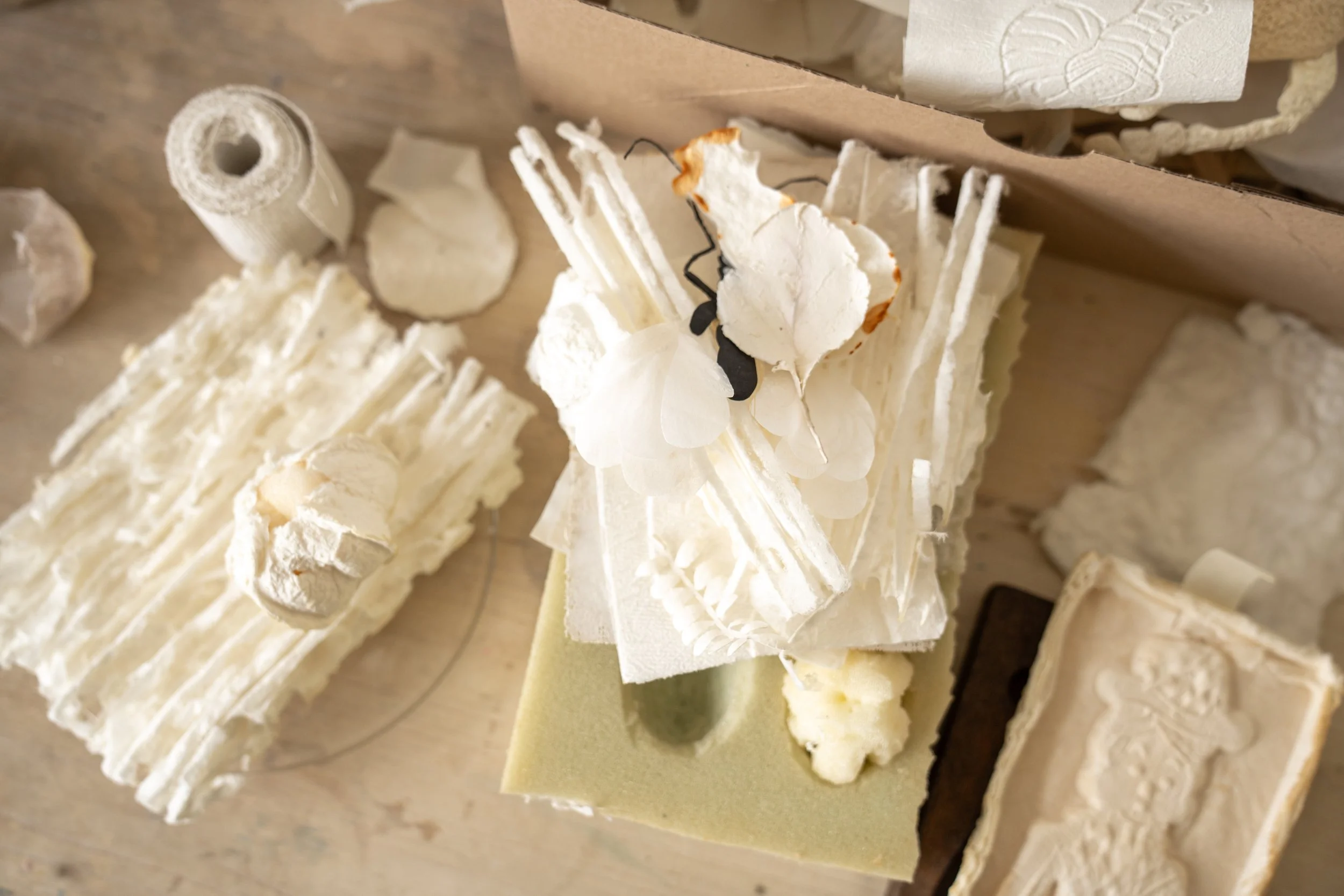 Various slices of cheese on display, including soft, hard, and crumbly varieties, some with textured surfaces in a cheese shop or deli setting.