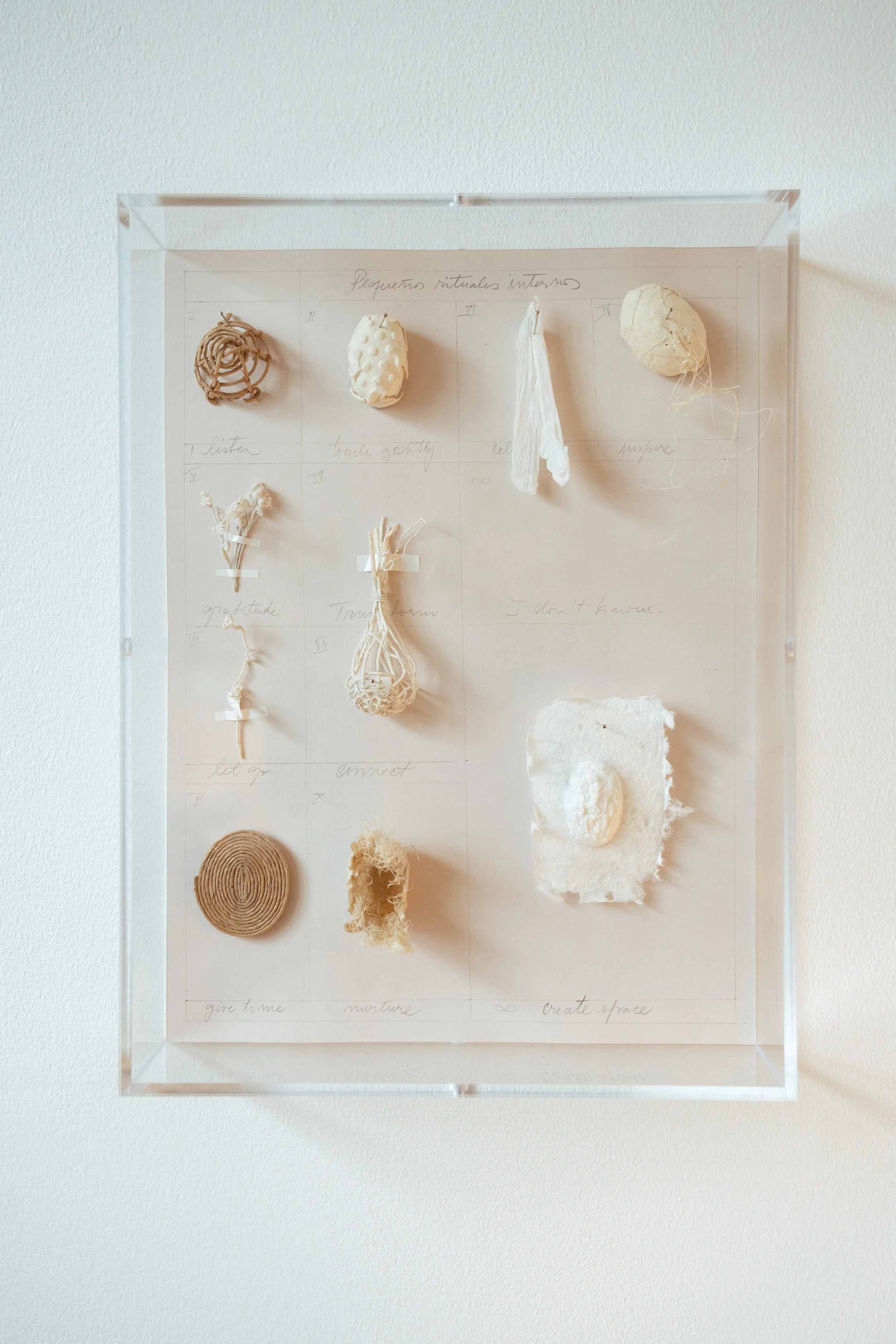 A framed display of various natural materials and objects, arranged on a paper sheet with handwritten notes and headings.