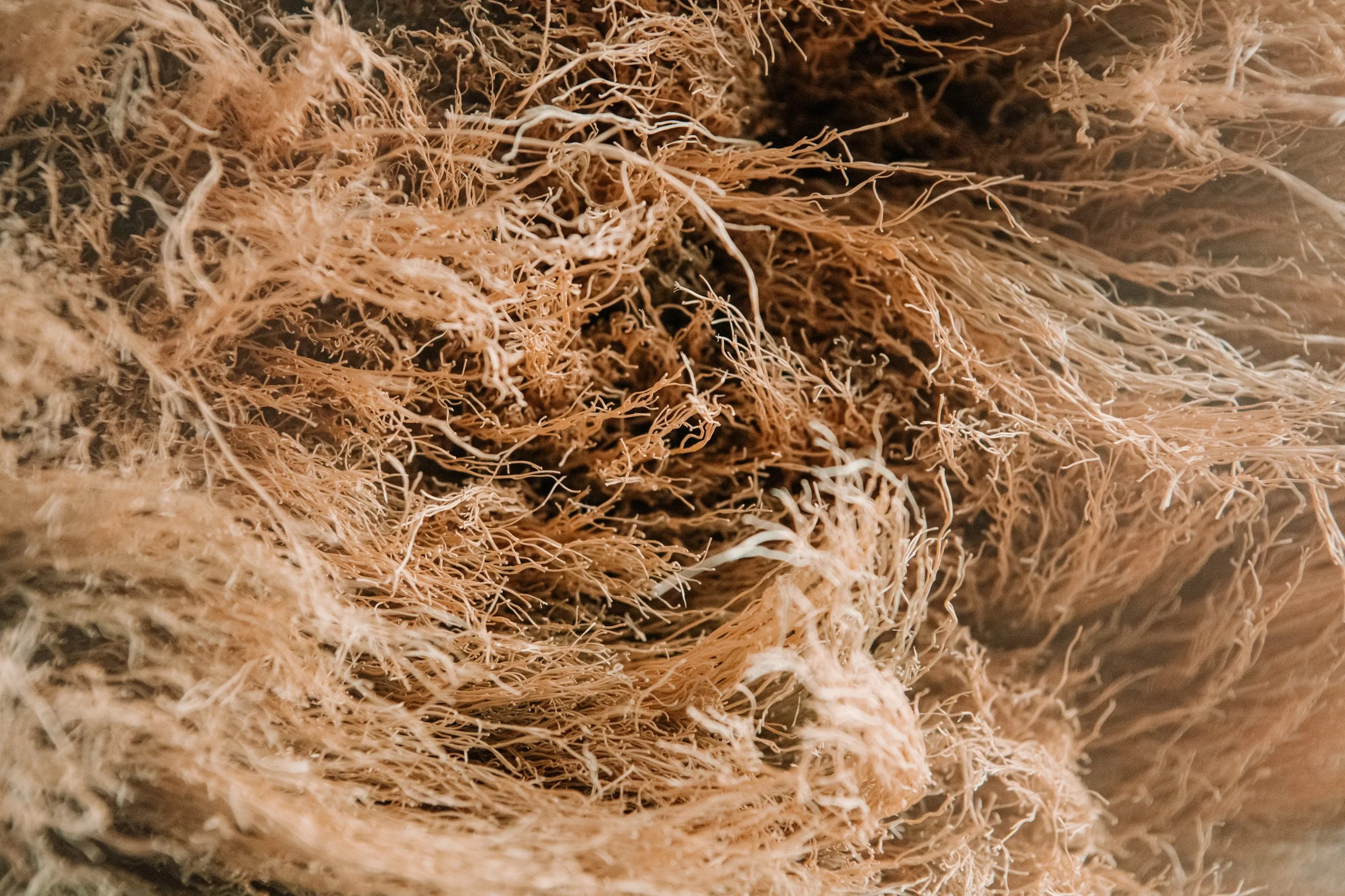 SHC_Materials+Process_Photo_16.jpeg