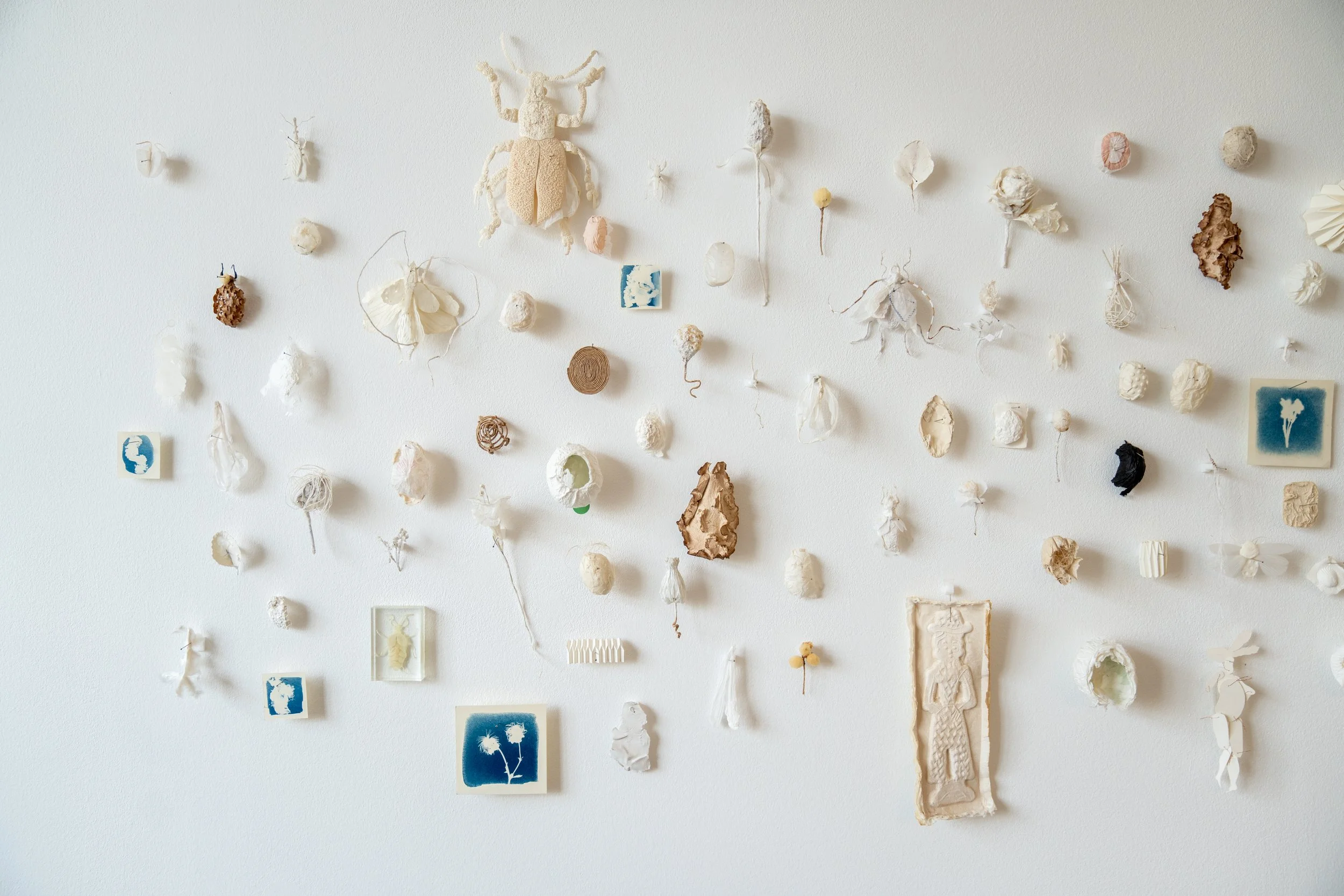 An art display on a white wall featuring various crafted objects including paper flowers, a watercolor flower print, a wooden coil, and textured sculptures made of paper and other materials.