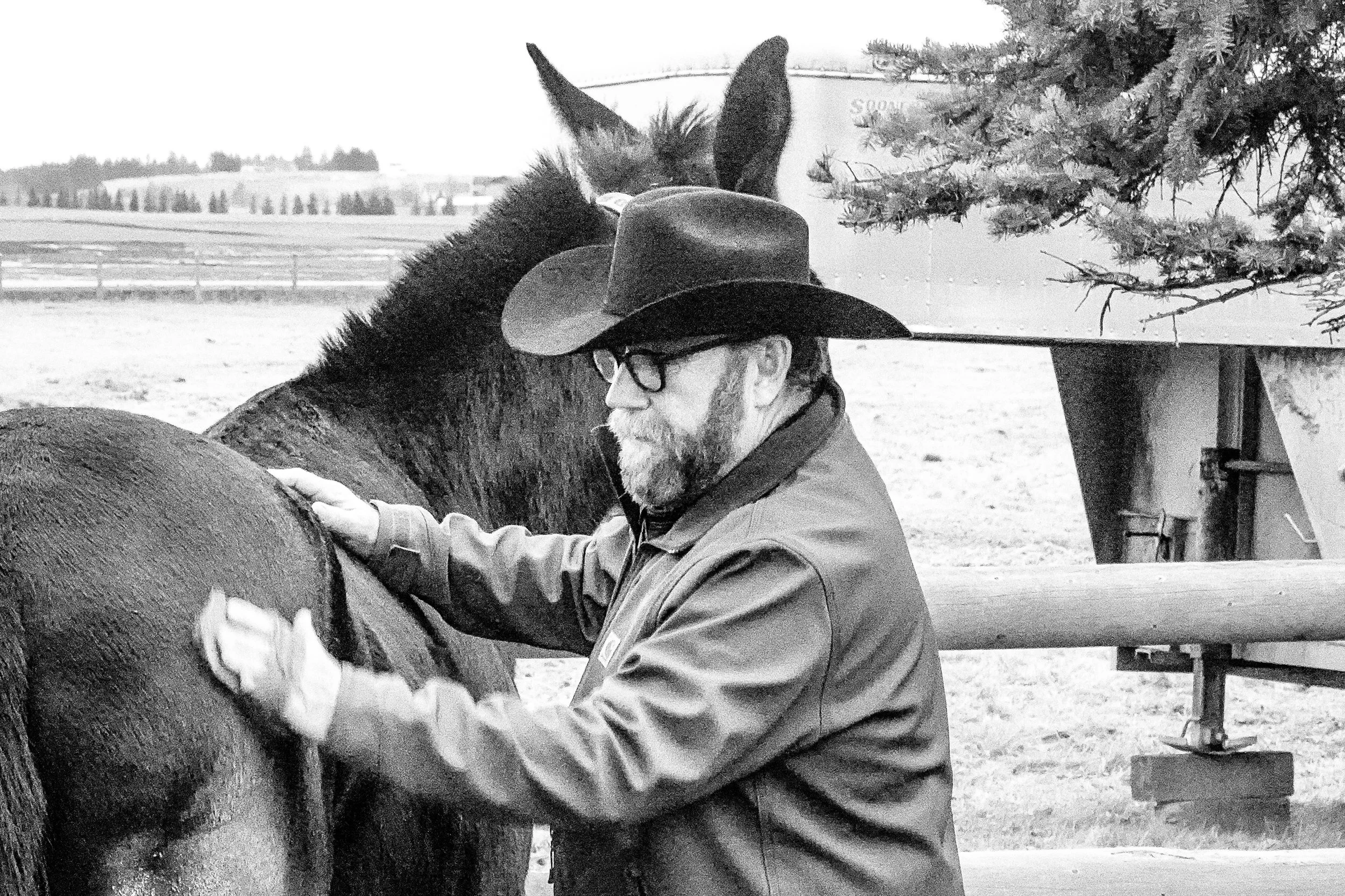 A man wearing glasses, a hat, and gloves is grooming a horse, with a barn and trees in the background.
