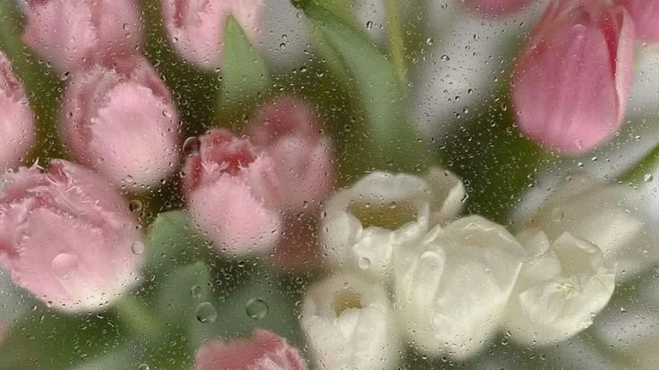 Color Analysis—Beyond Seasons