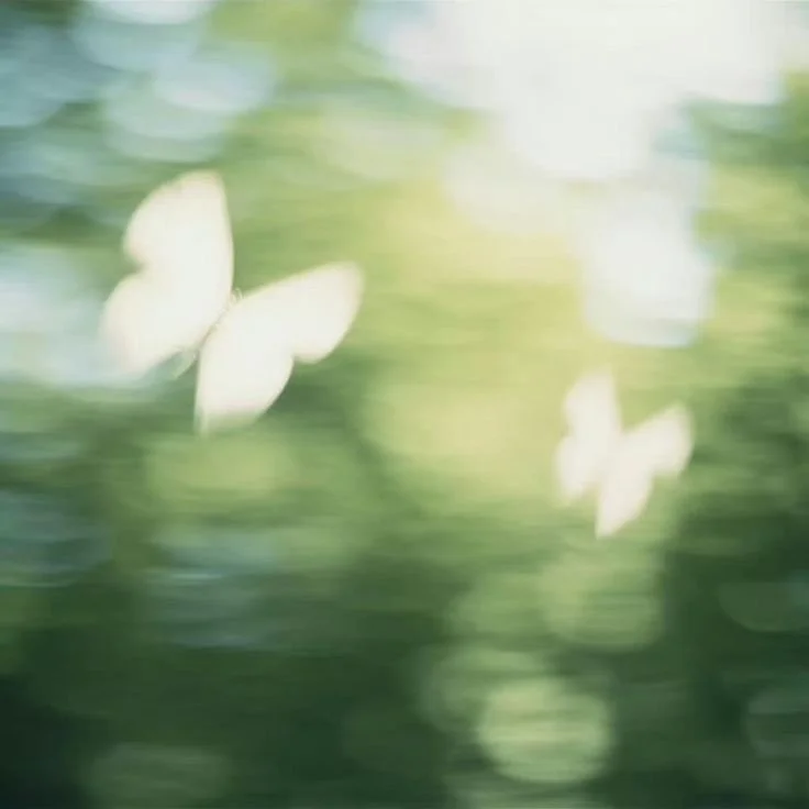 Lip Recommendations for Autumns