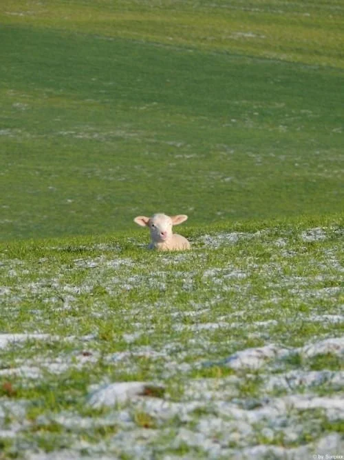 How to Find Your Personal Color