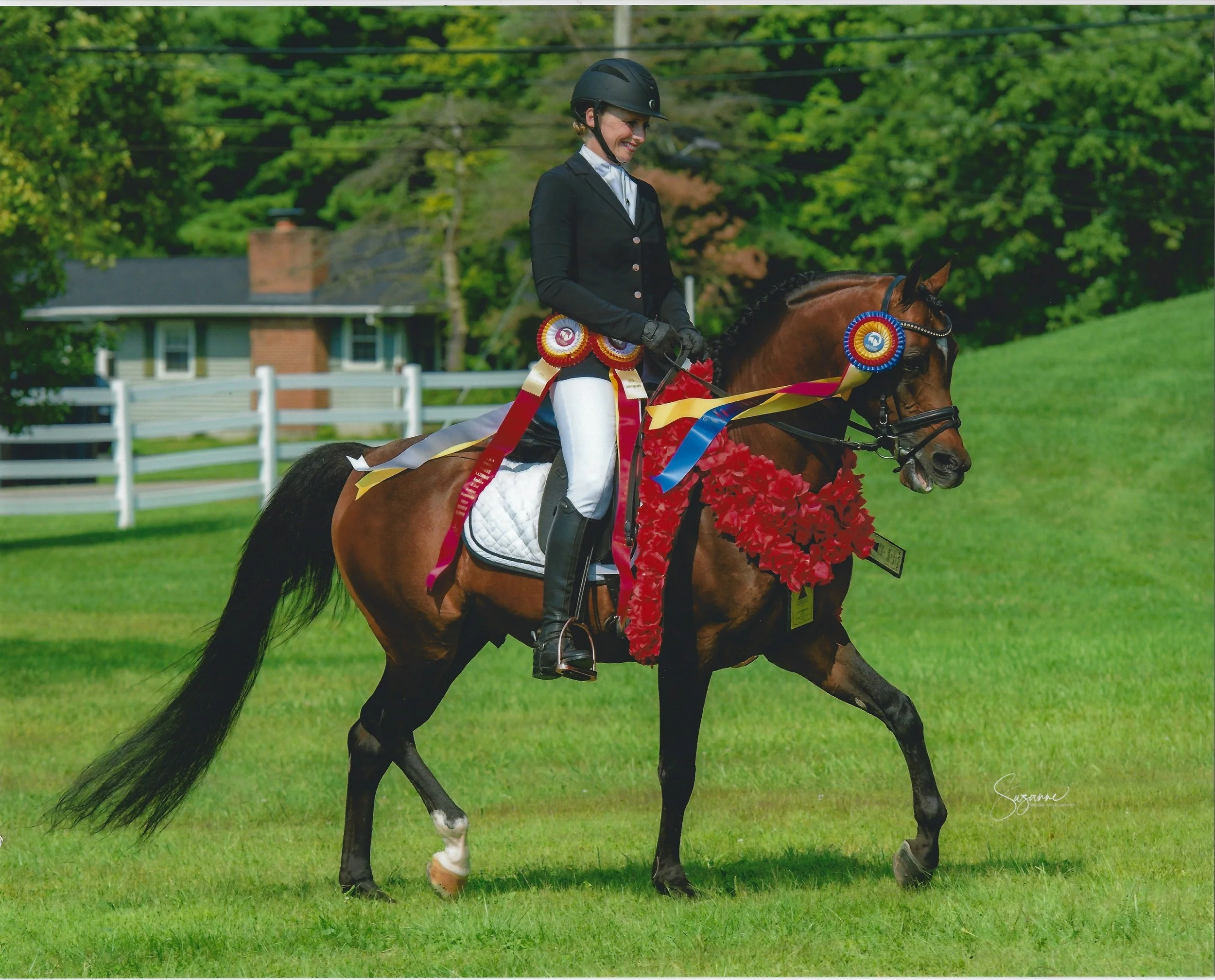 Rebbel Yell  SHN 2.jpg