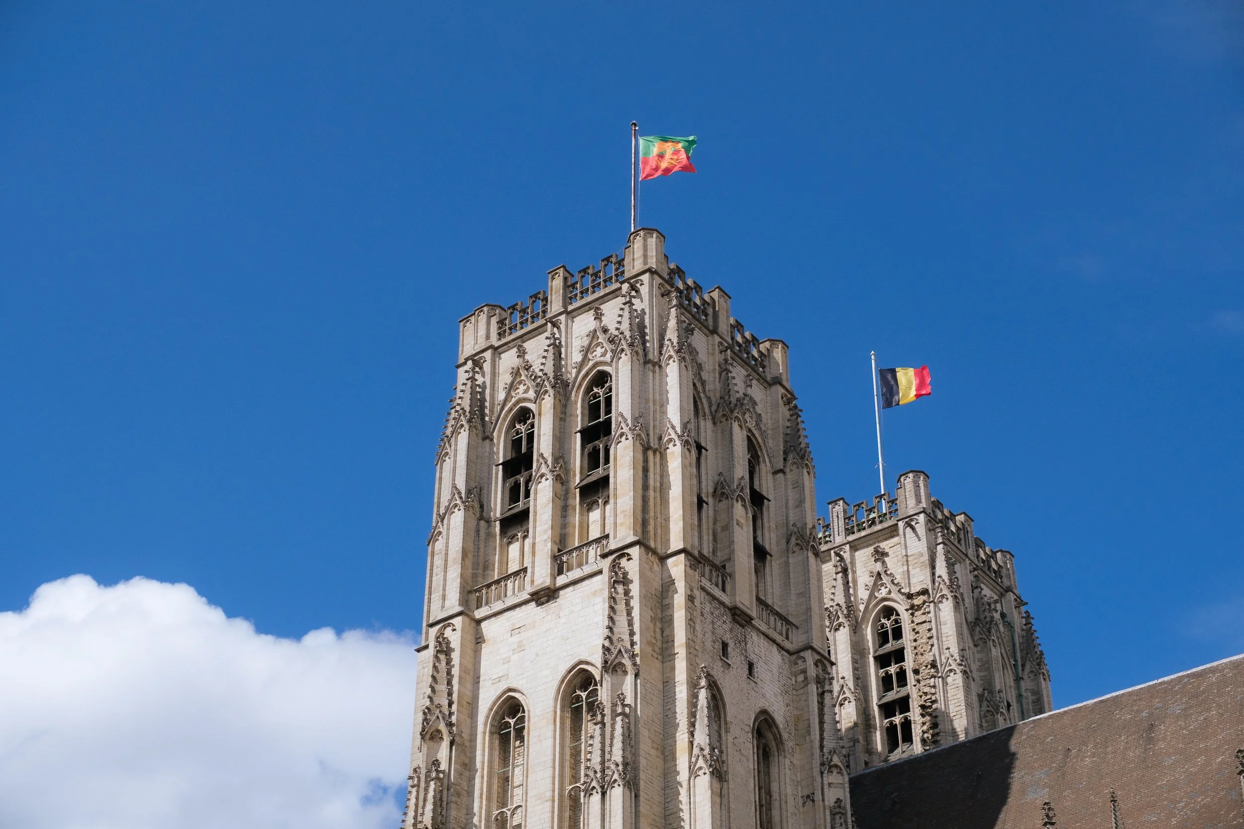 _DSF6128.jpg