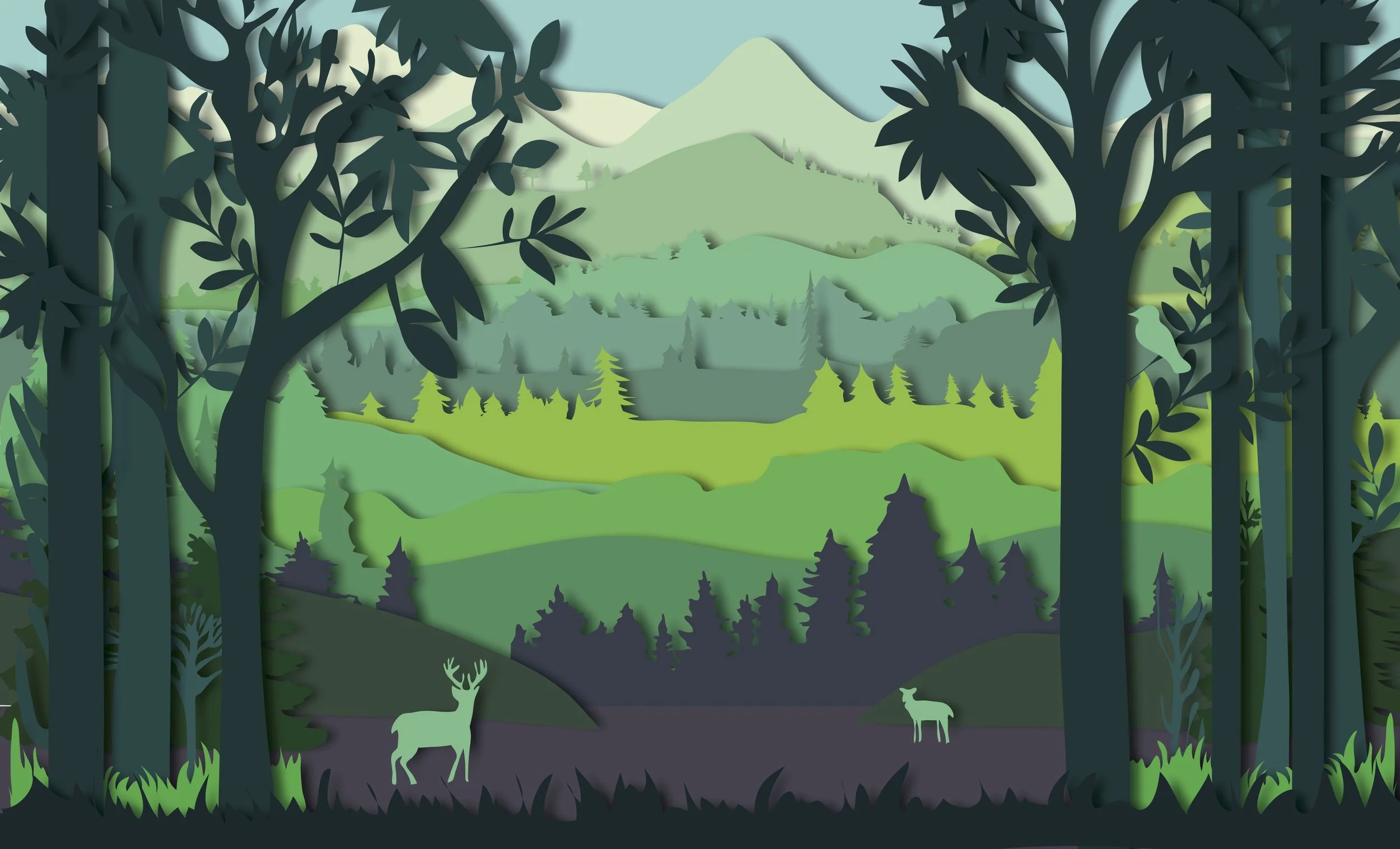 IllustratorFinal_KD copy 2.jpg