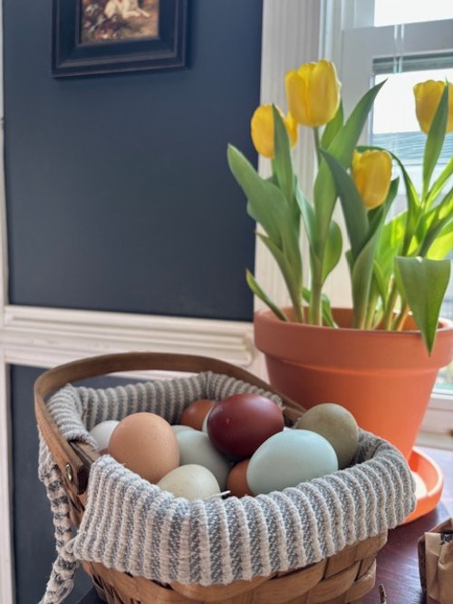 Free-Range Eggs