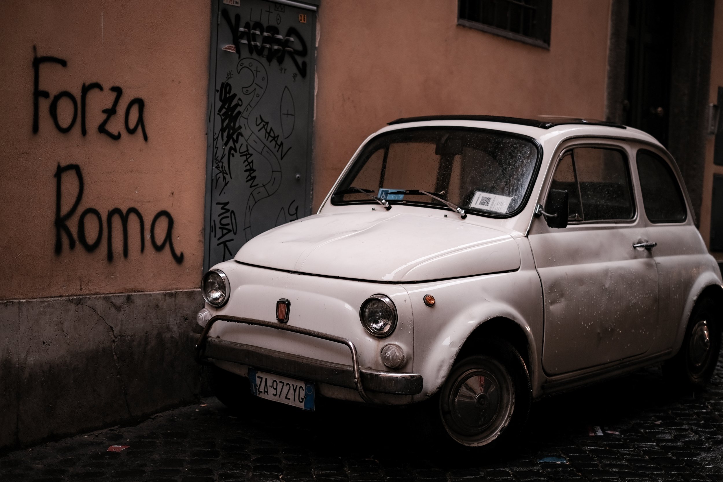 DSCF2234-2.jpg