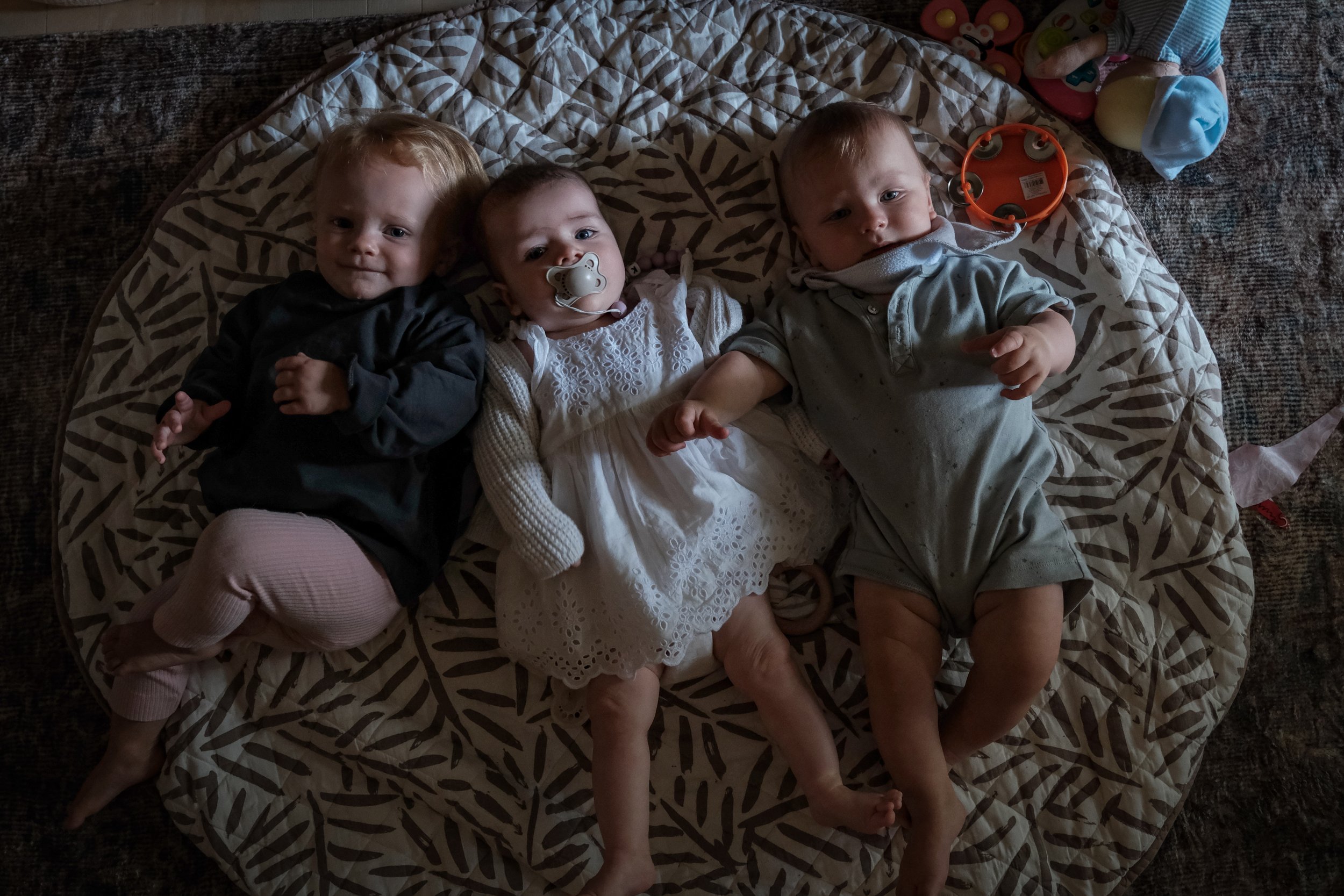 DSCF7331-2.jpg