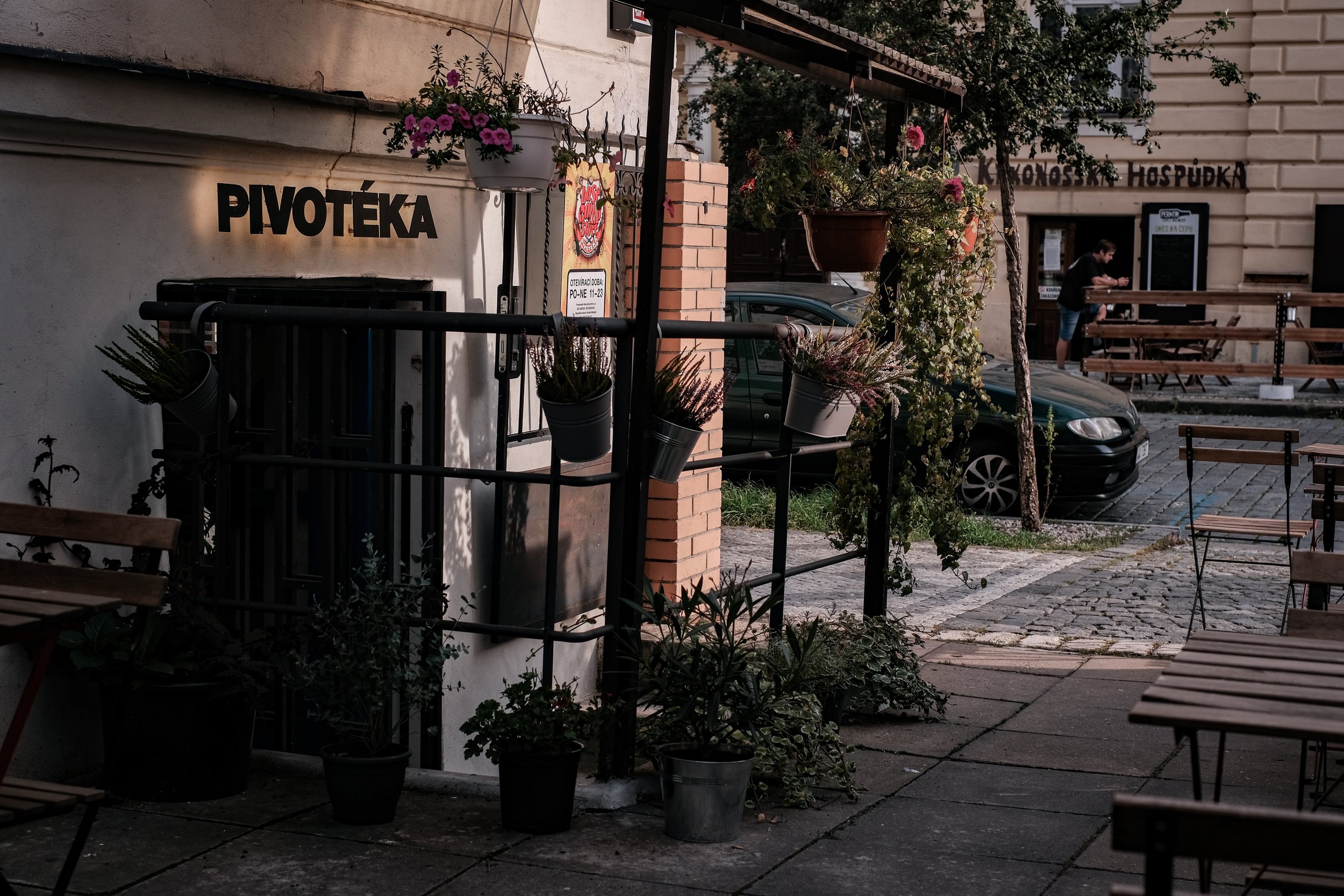 DSCF1291-2.jpg