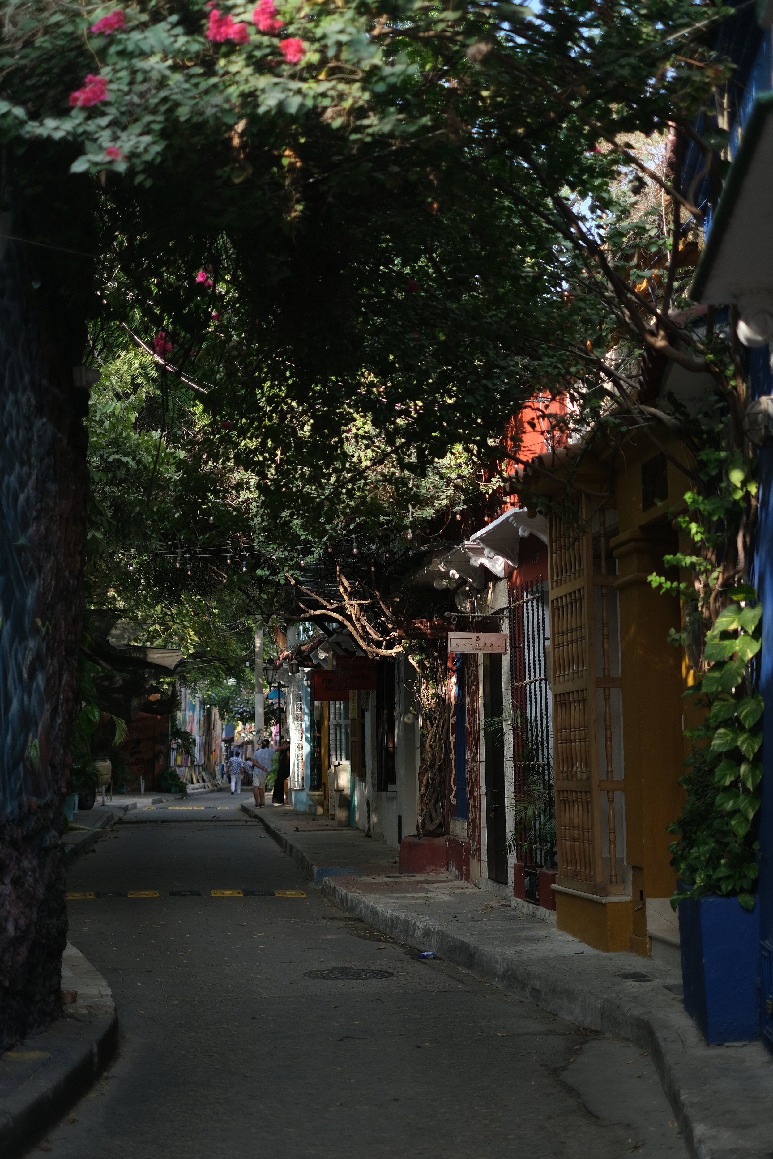 DSCF4335-2.jpg