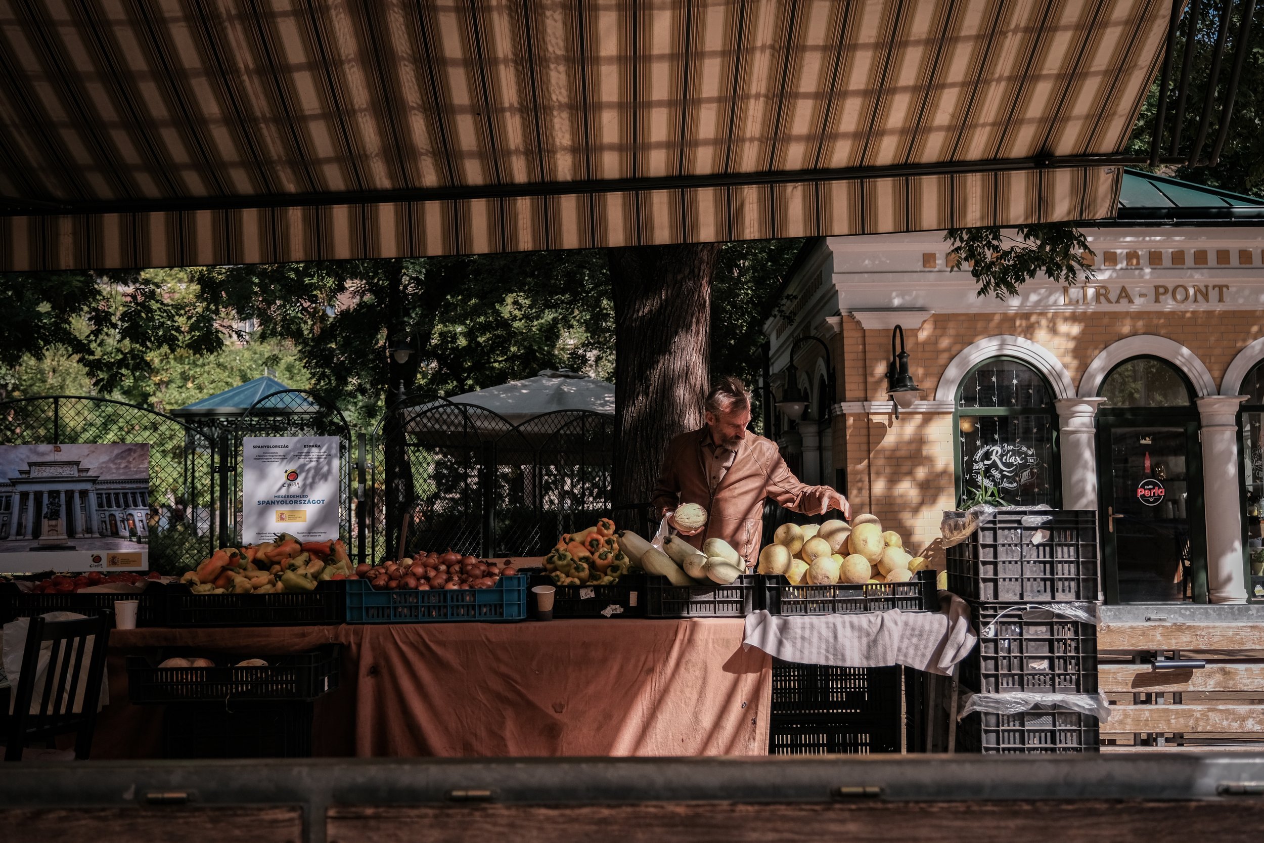 DSCF1626-2.jpg