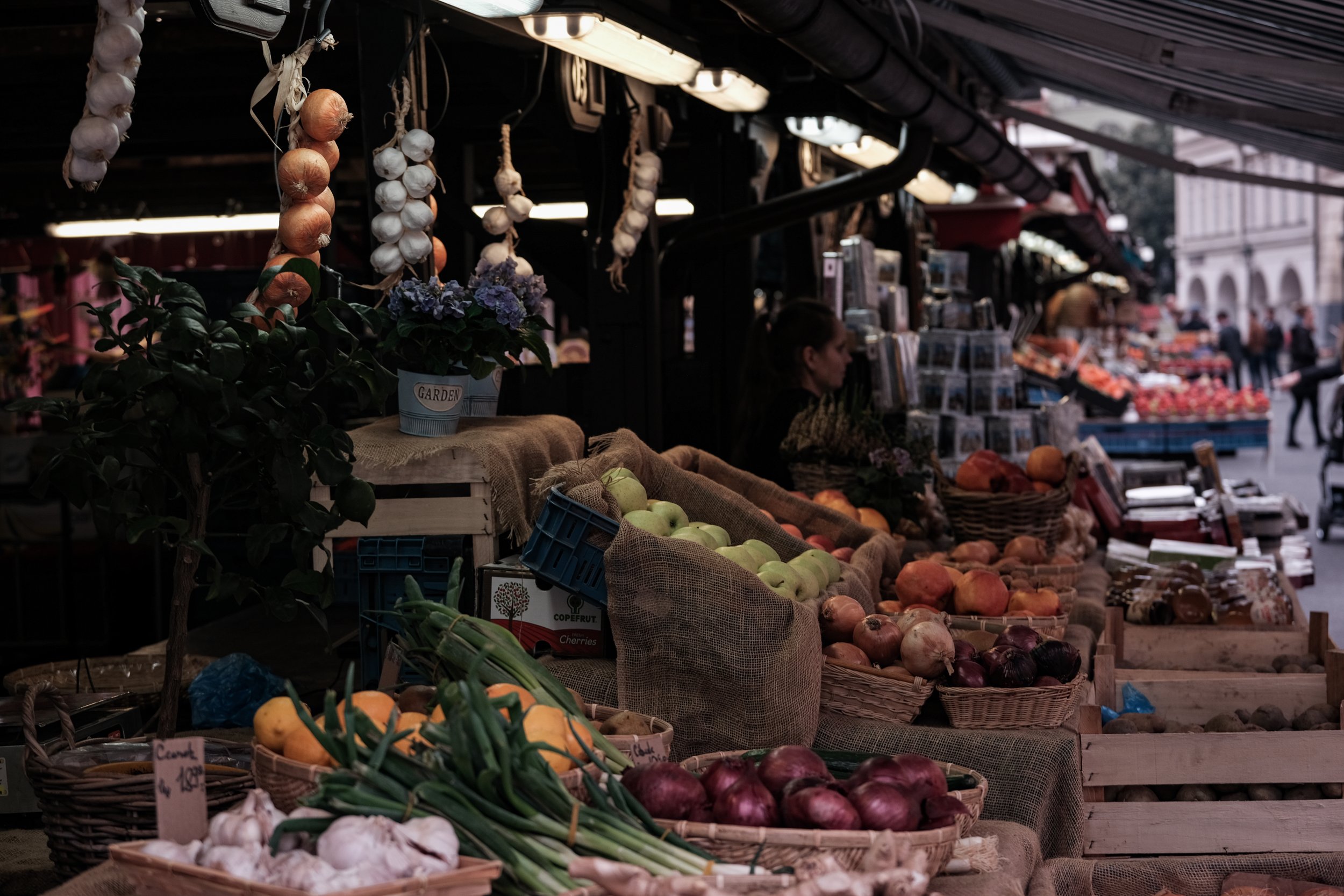 DSCF1347-2.jpg