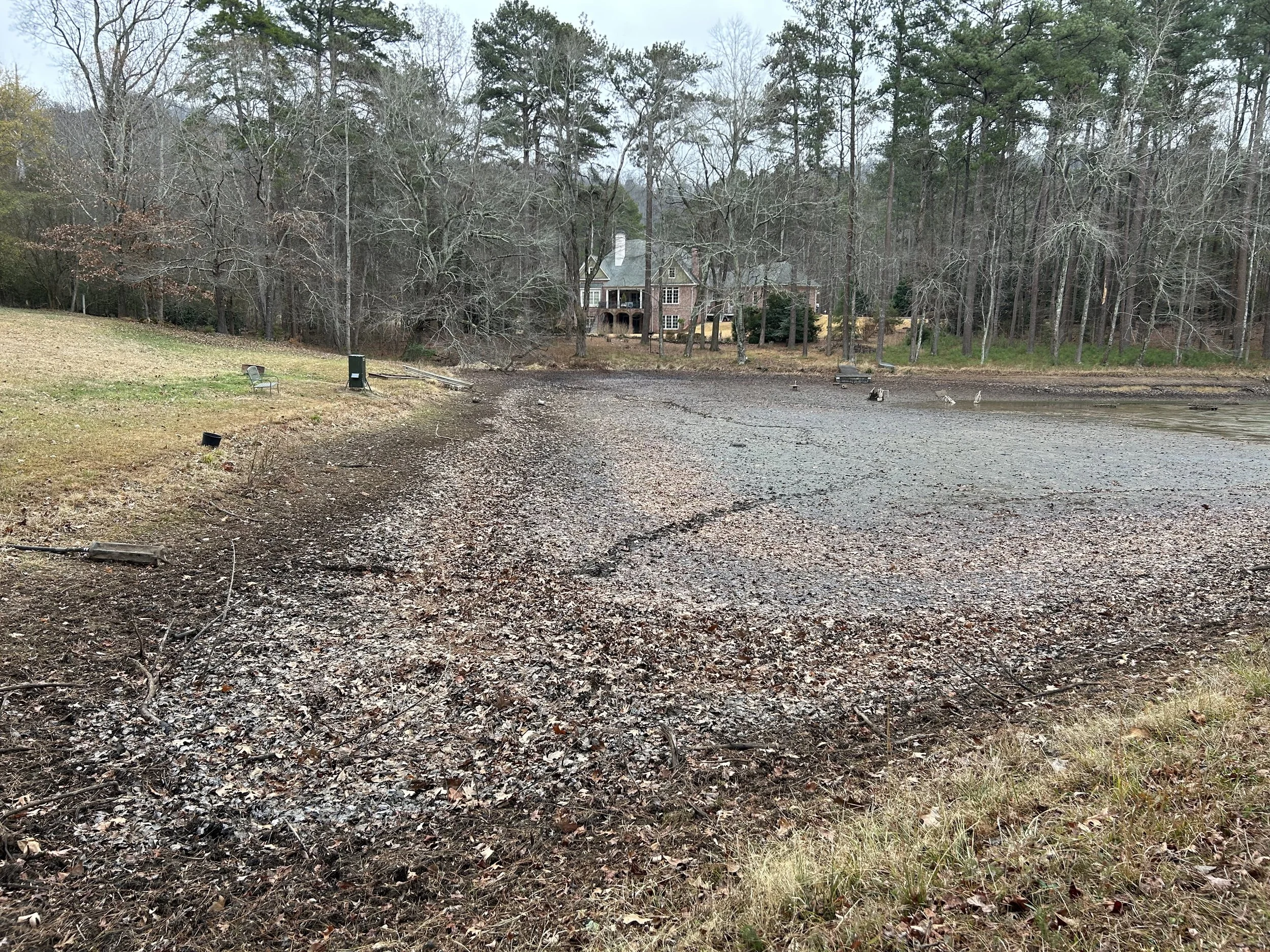 Exposed pond bottom before dredging showing sediment buildup near the primary head section of the pond.