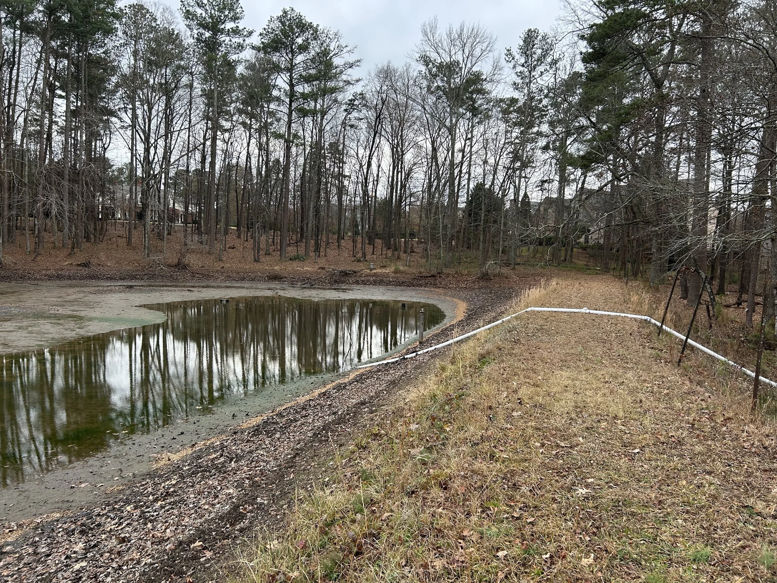 Kennesaw pond partially drained by siphon in preparation for the planned dredging operation.