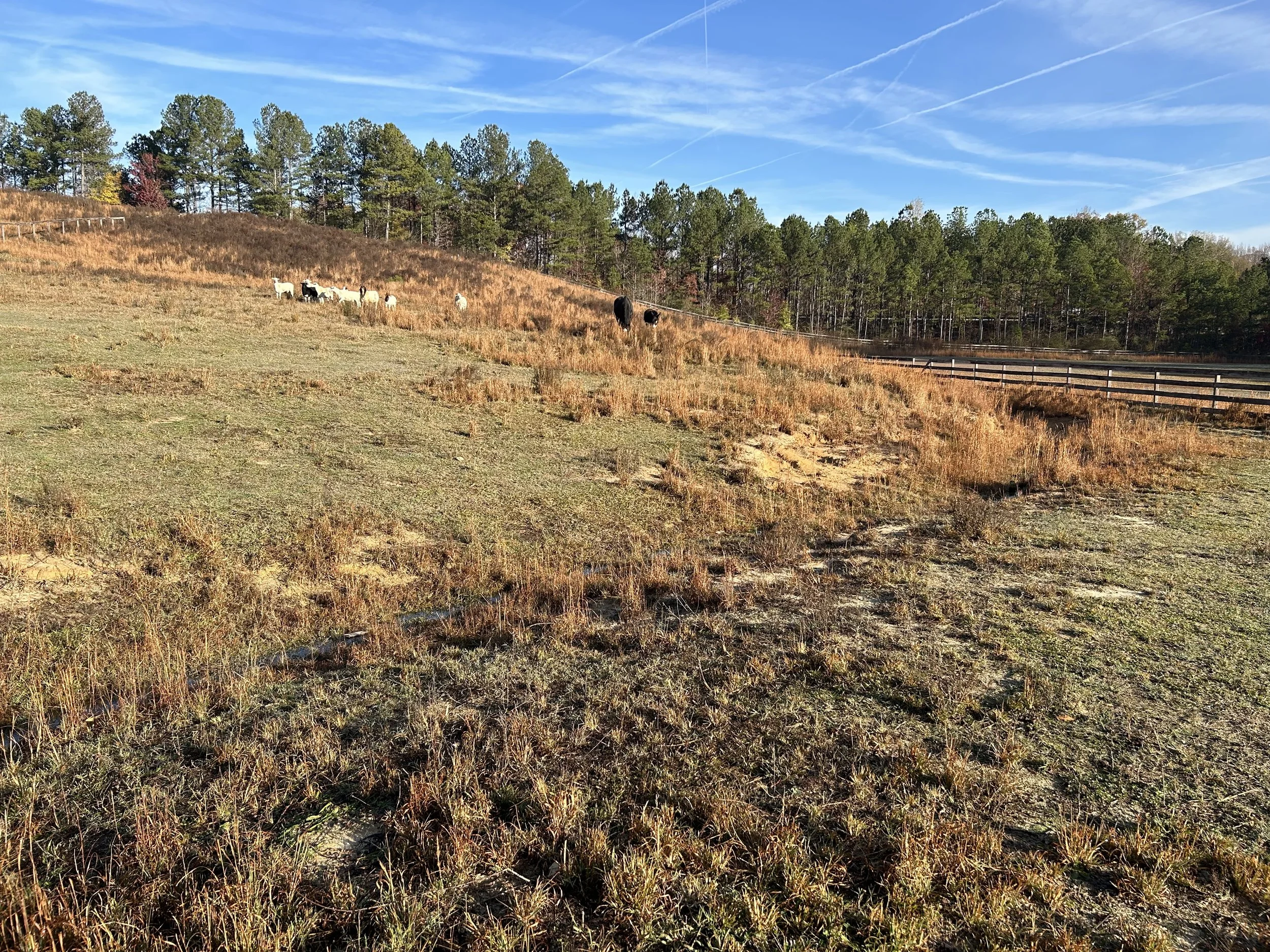 Engineered rock-lined drainage channel in Fairburn, GA. Approximately 700 feet of channel was profiled to engineered grades and lined with geotextile and approximately 540 tons of riprap to establish controlled drainage through the property and a sta