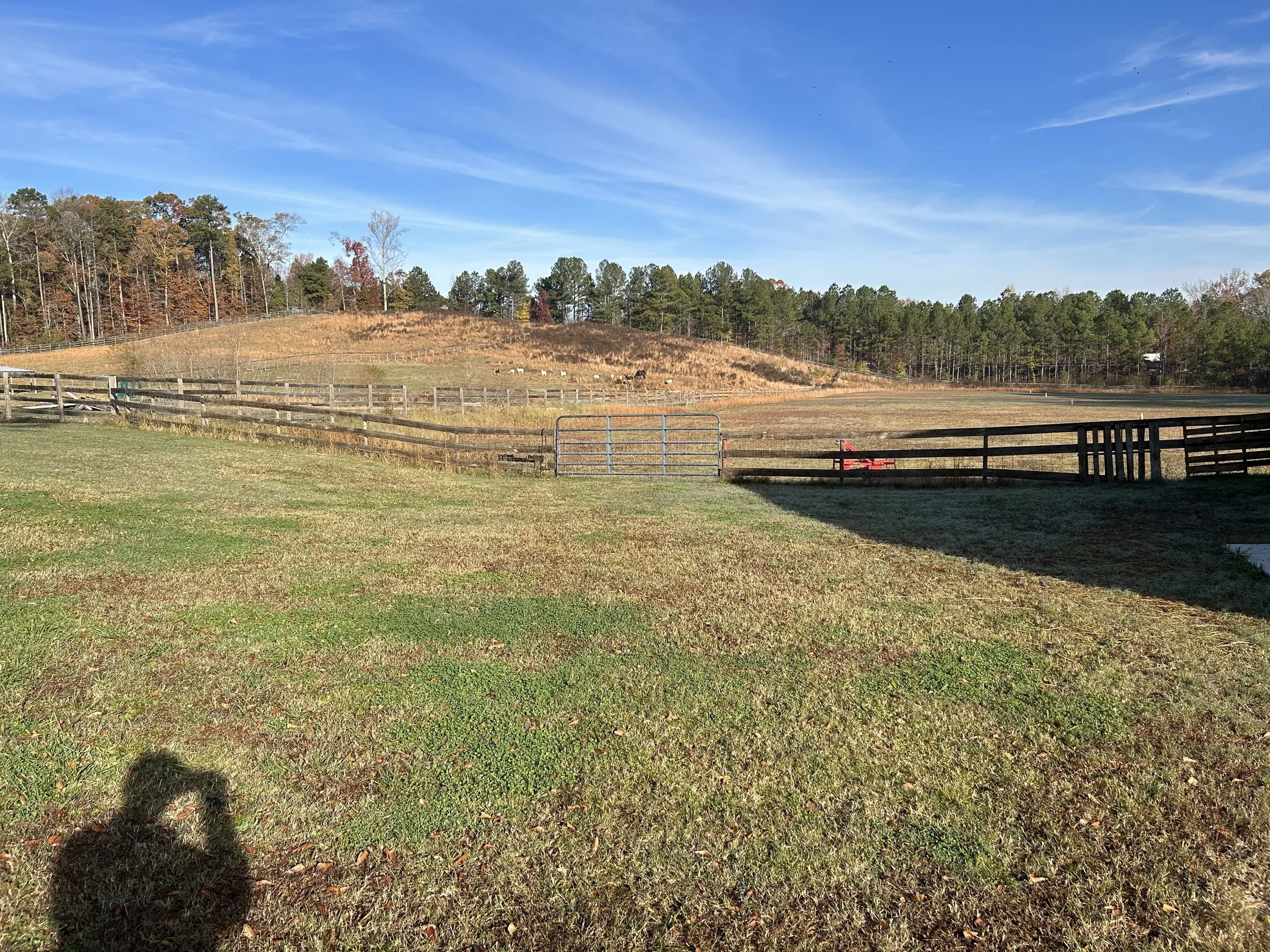 Upper pasture and natural drainage area before construction of engineered farm drainage channel in Fairburn, Georgia